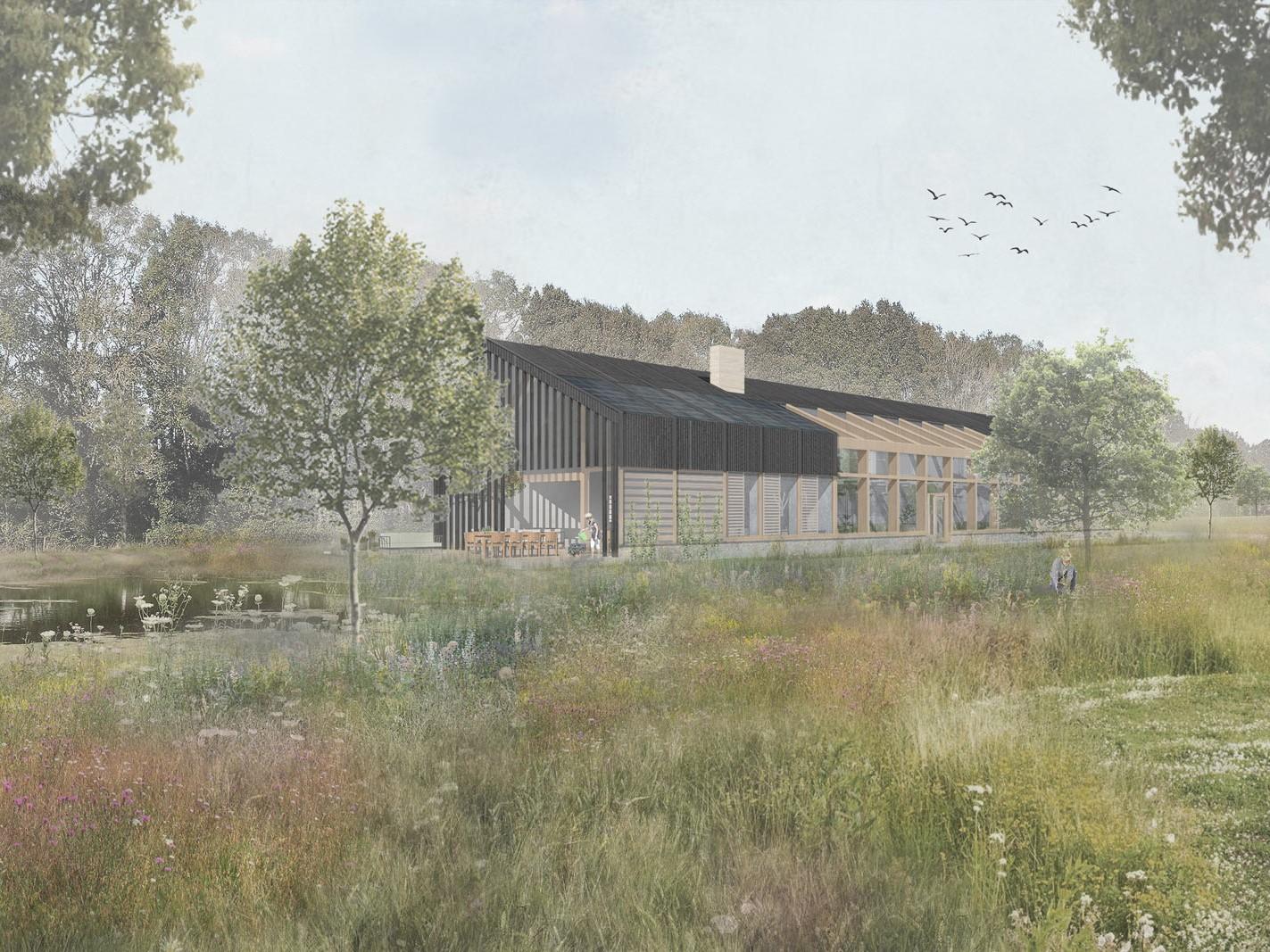 Explore Studio Bark - Learn more
