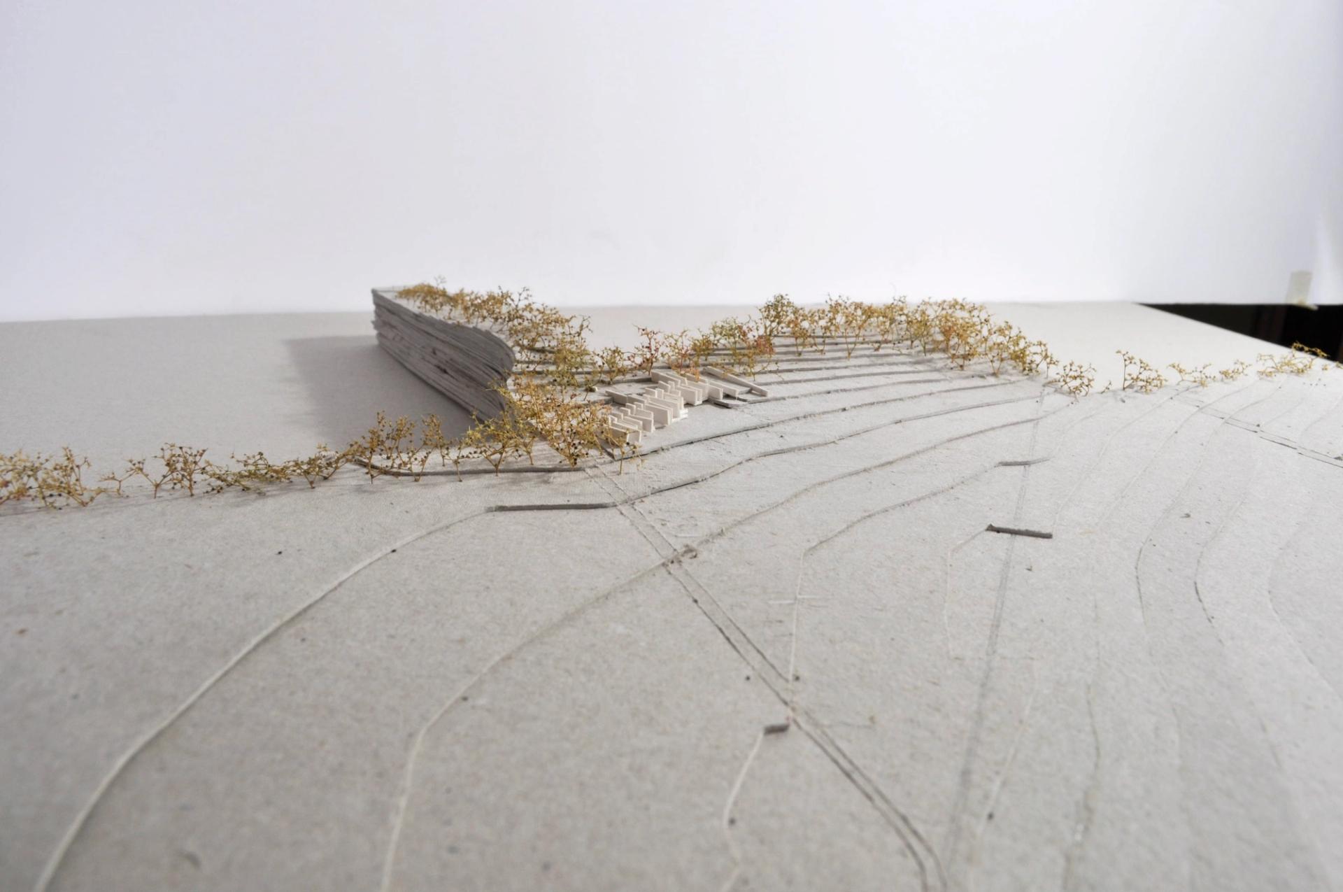 Model of Grain House showing topography and trees