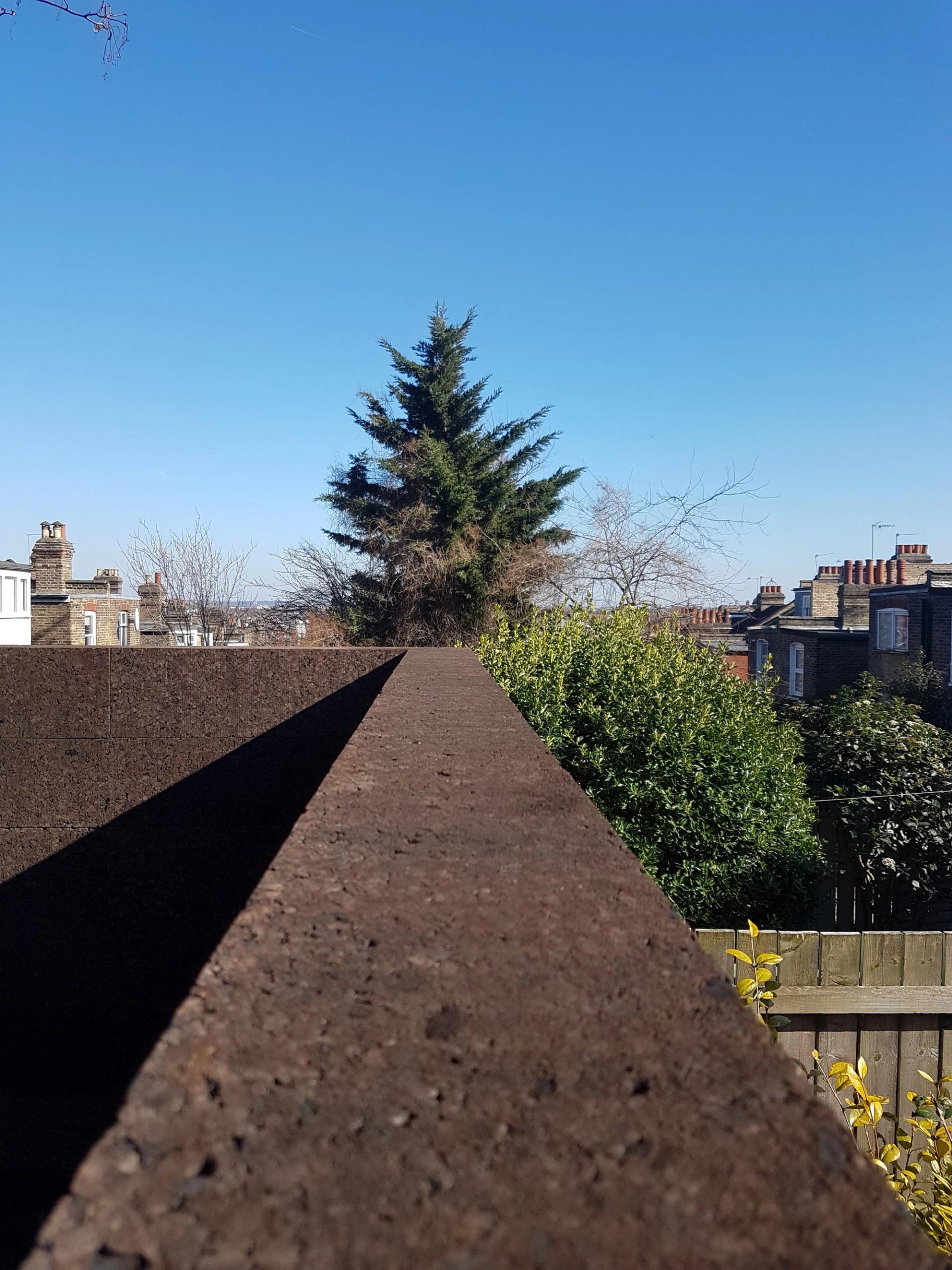 View from top of wall made of cork
