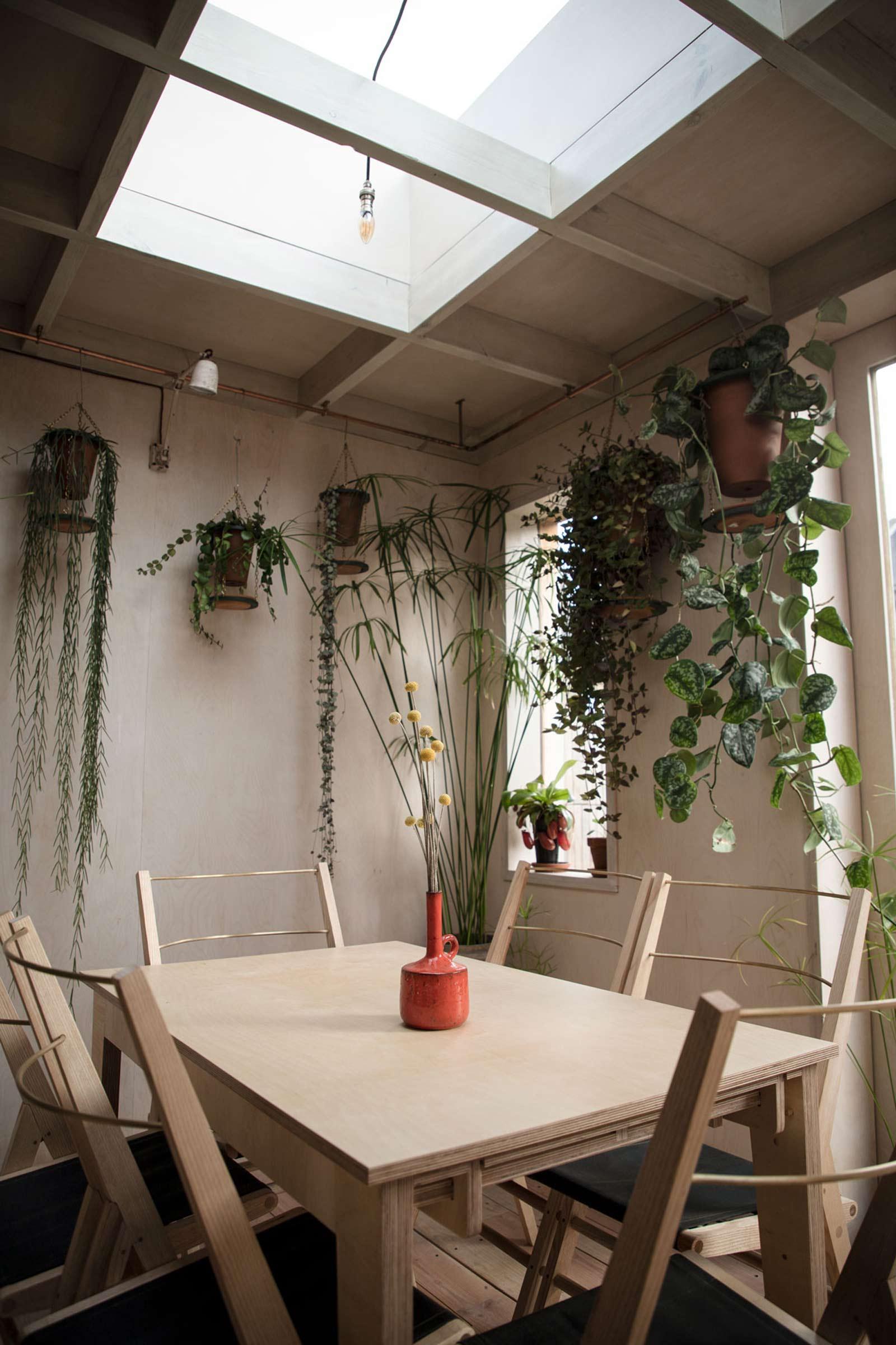 House extension kitchen view with plants and skylight