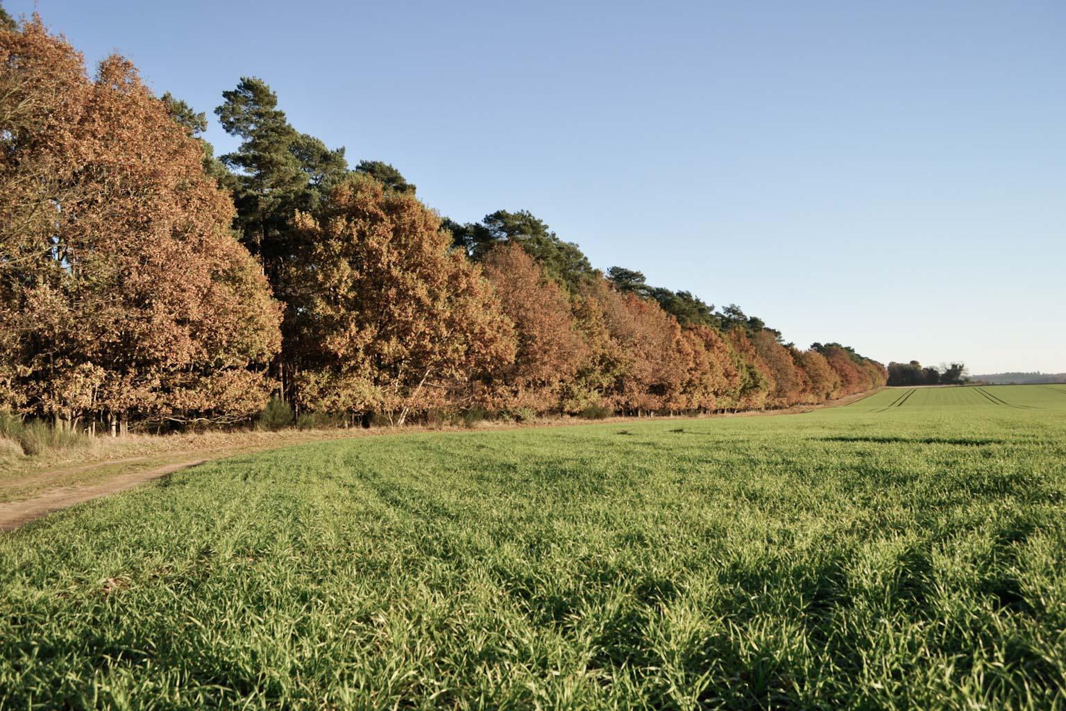 The beautiful rural setting for Warren Lodge