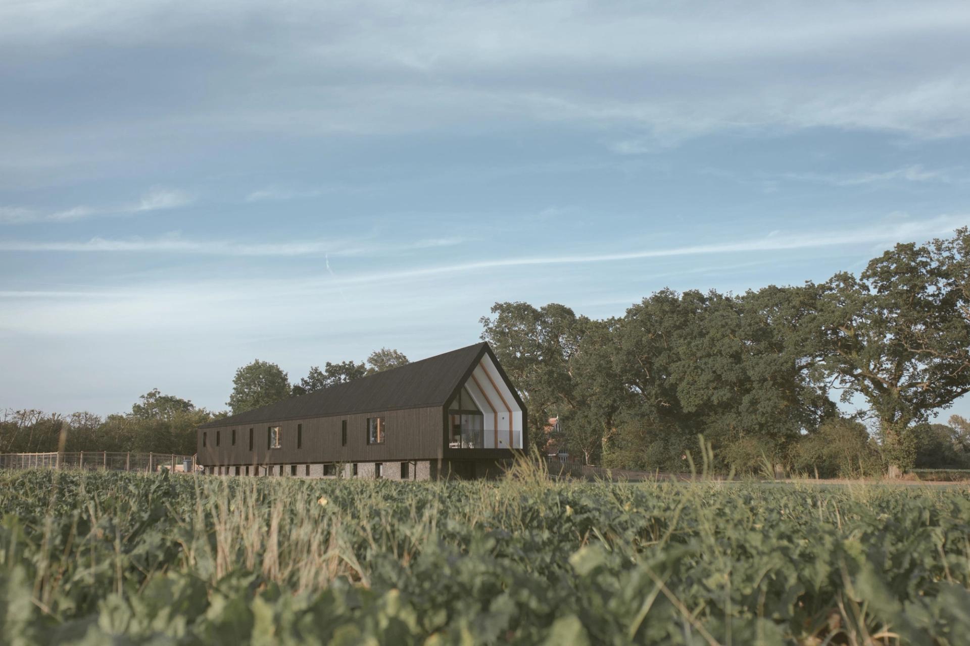 Explore Studio Bark - Learn More