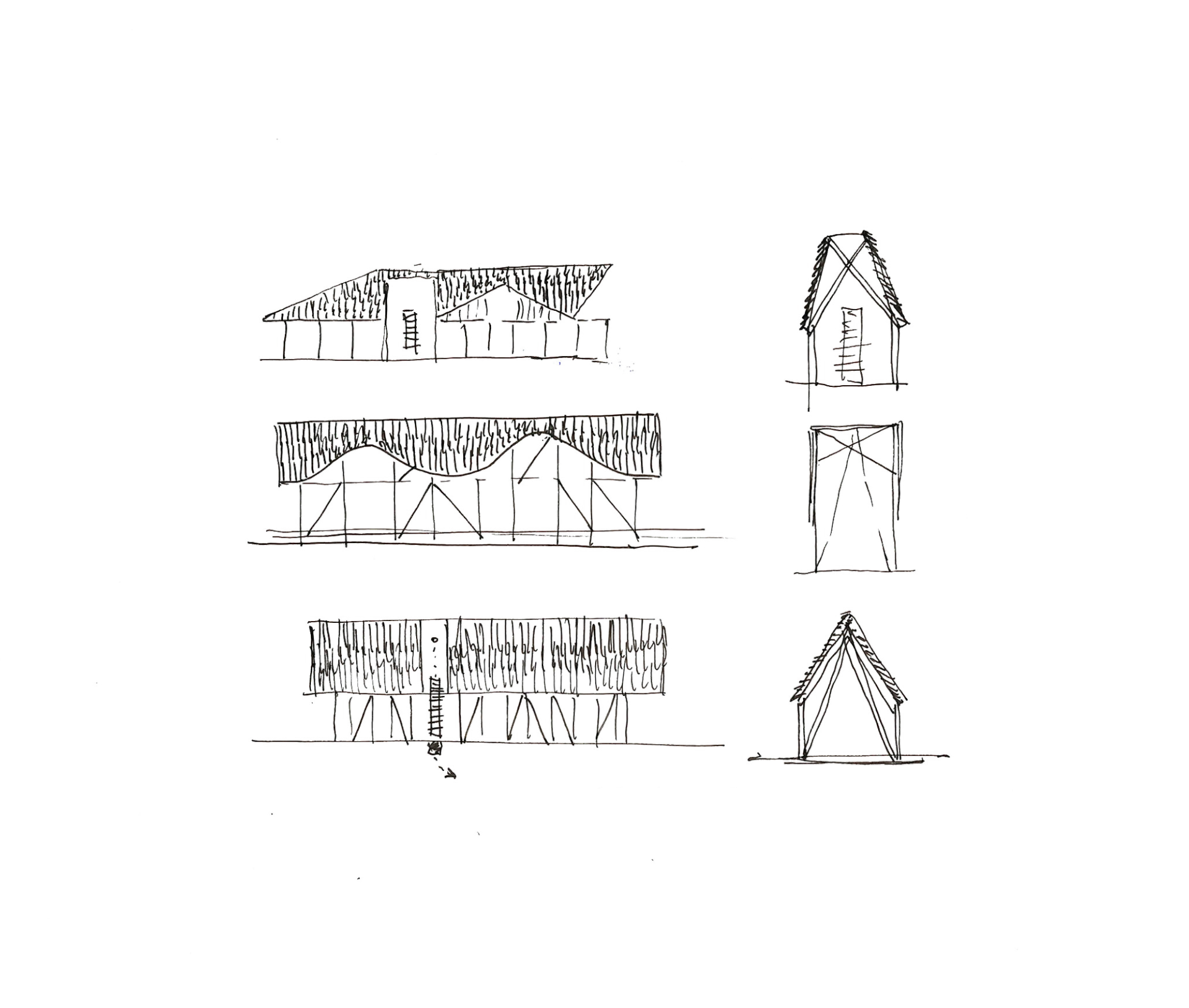 Proposed roof sketch by Studio Bark