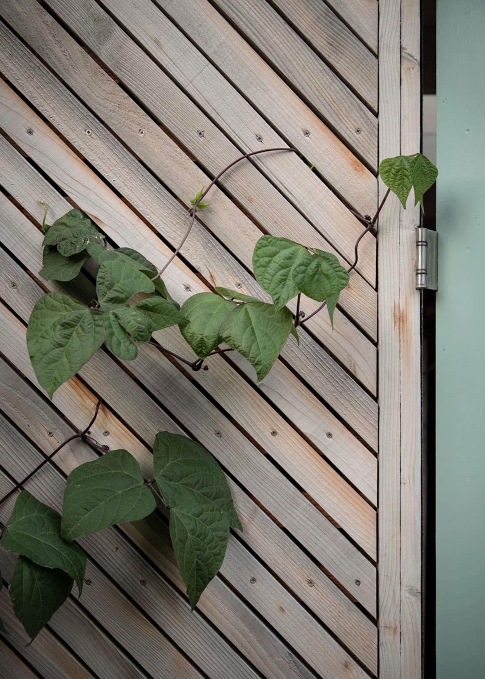 Cladding detail of Victorian terrace extension