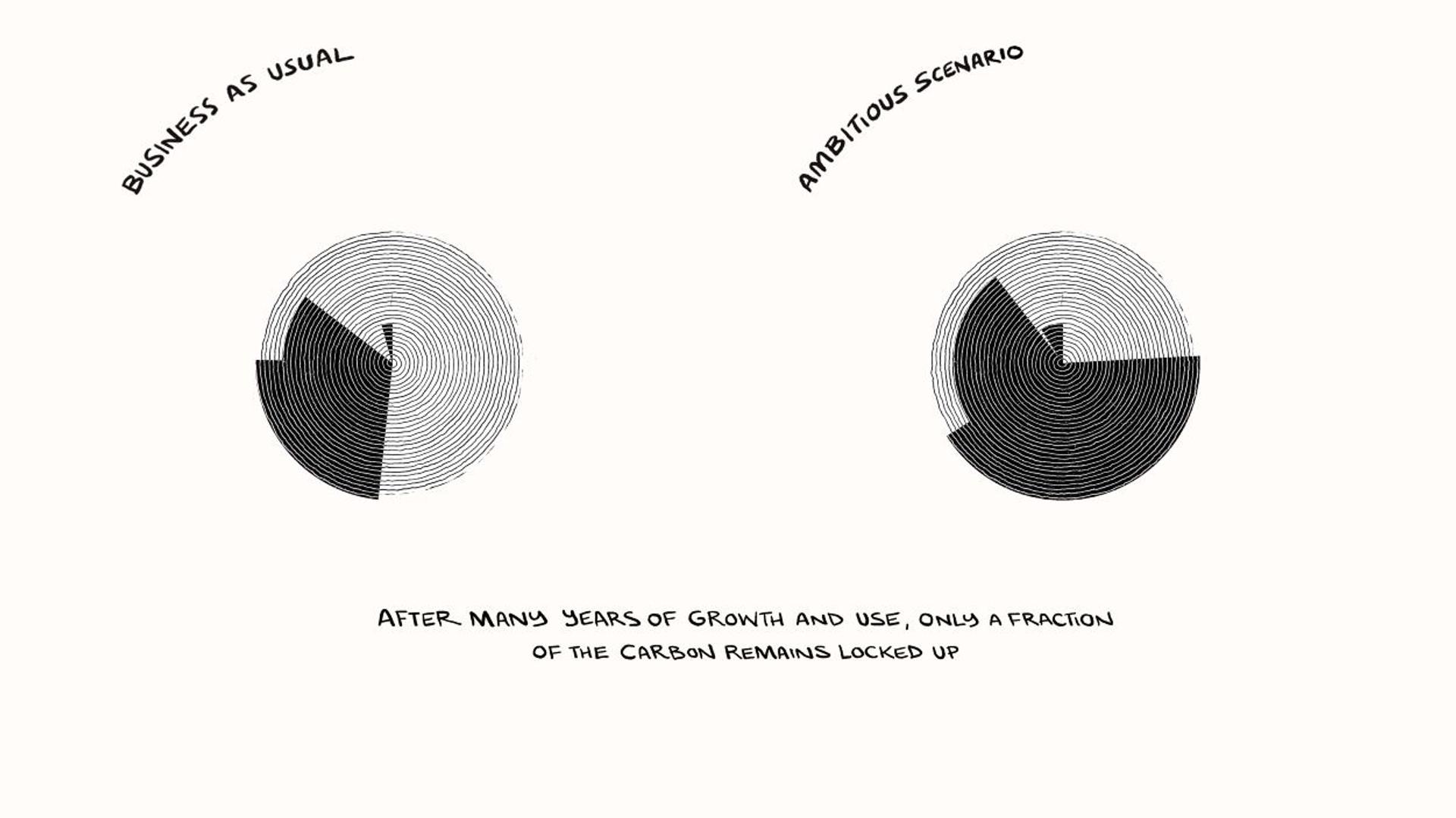 Still from Where The Trees Go animation explaining the timber lifecycle