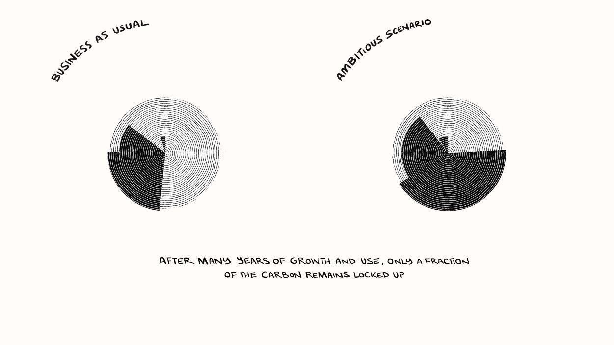 Still from Where The Trees Go animation explaining the timber lifecycle