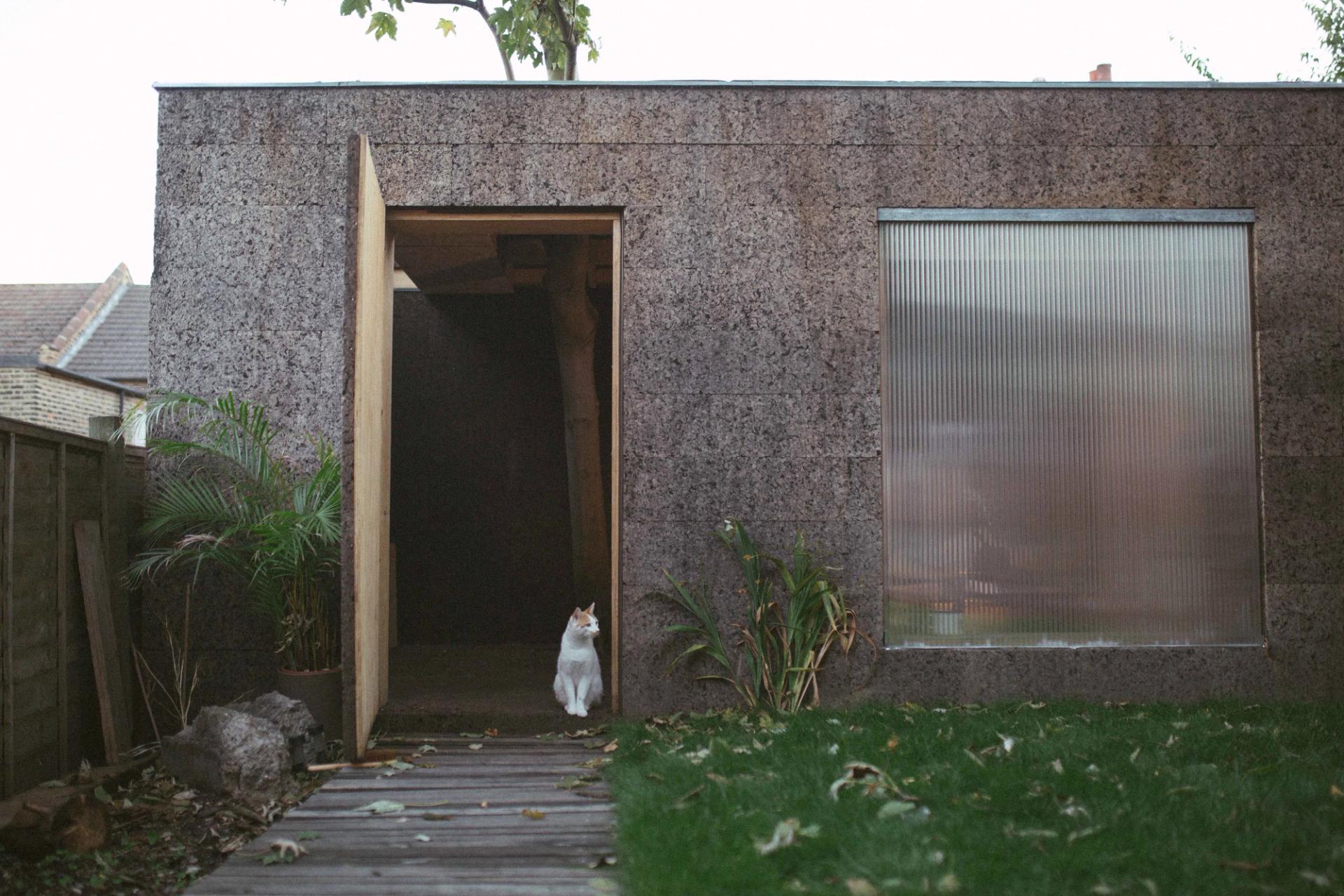 View of cat sitting in a doorway of a cork studio