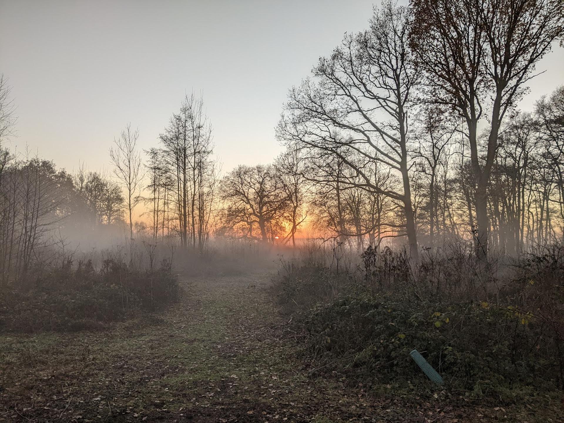 Photo of site for new home at sunset