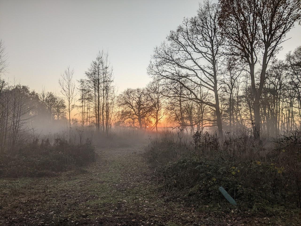 Photo of site for new home at sunset