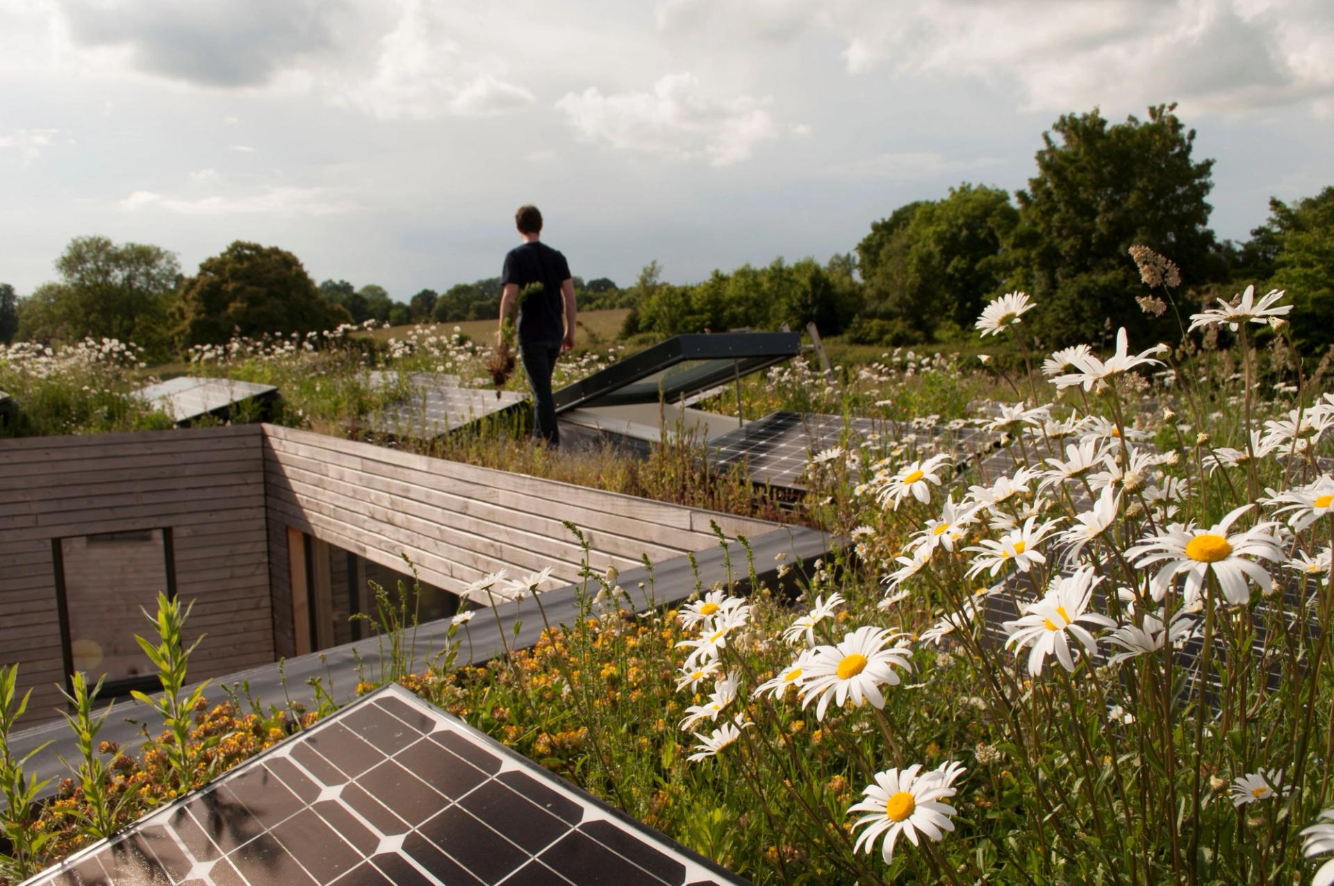Environmental self-build home
