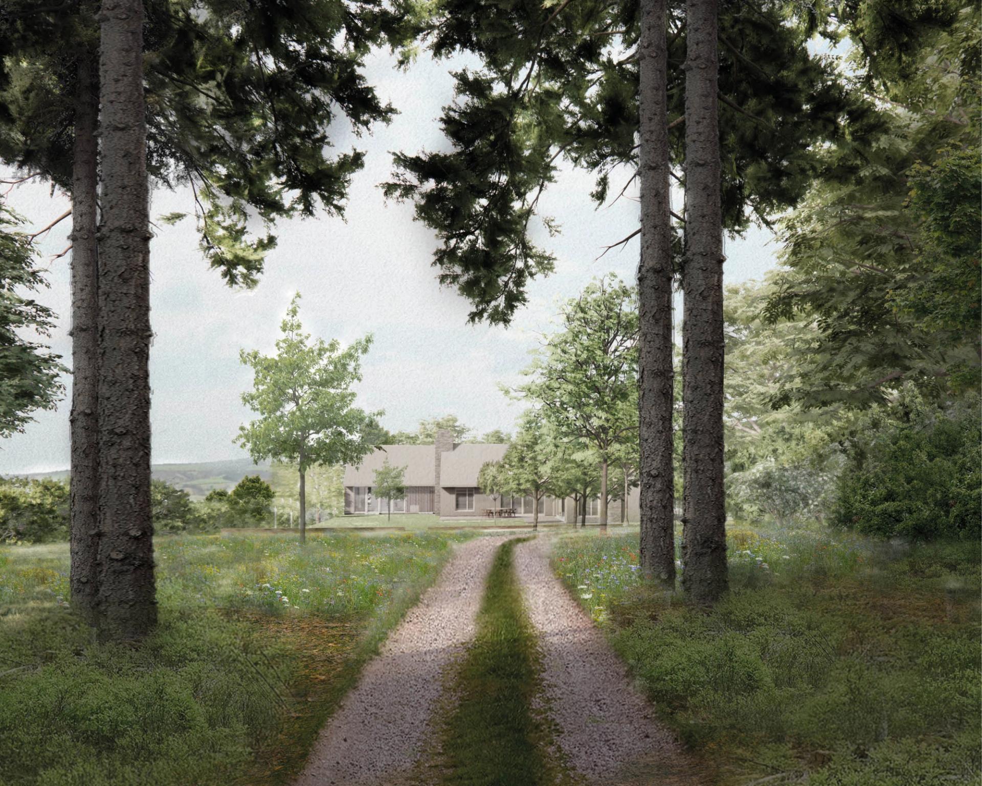 Approach through trees to Timbern - a Paragraph 84 home by Studio Bark