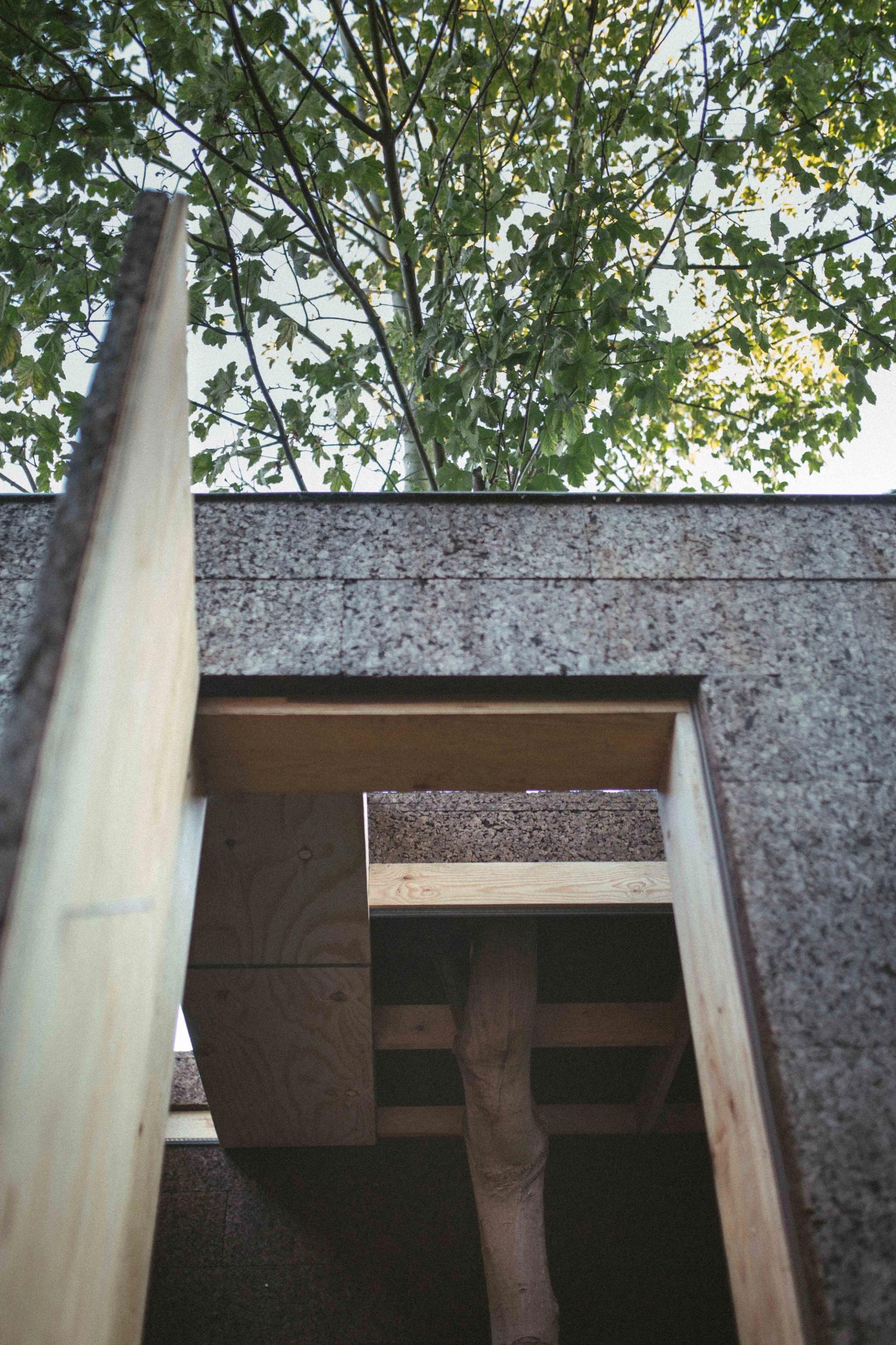View of tree puncturing through roof from the doorway of the Cork Studio