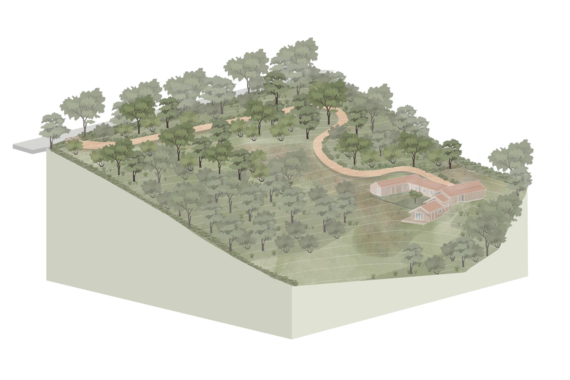 Drawing of the setting for Spring Wood House in a wooded valley