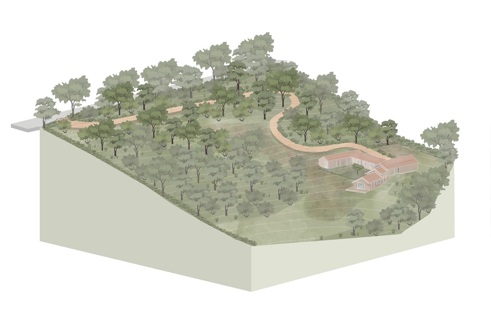 Drawing of the setting for Spring Wood House in a wooded valley