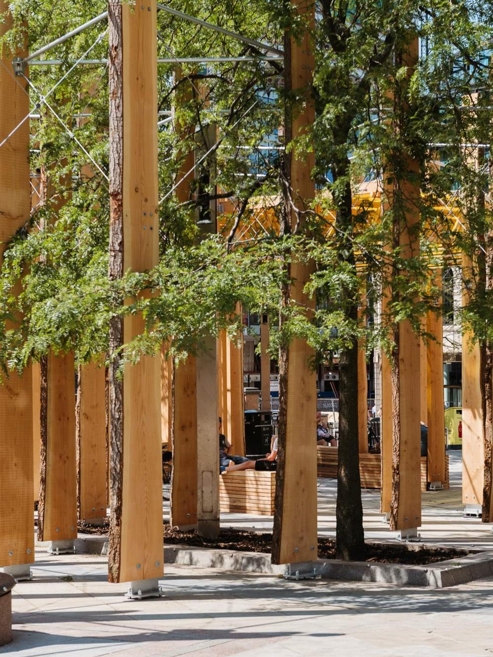 Explore Studio Bark - See project