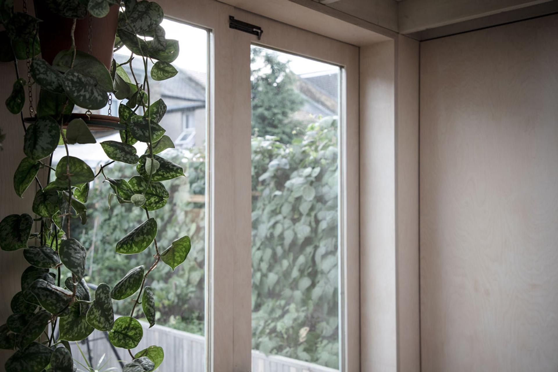 House extension living room view with plants