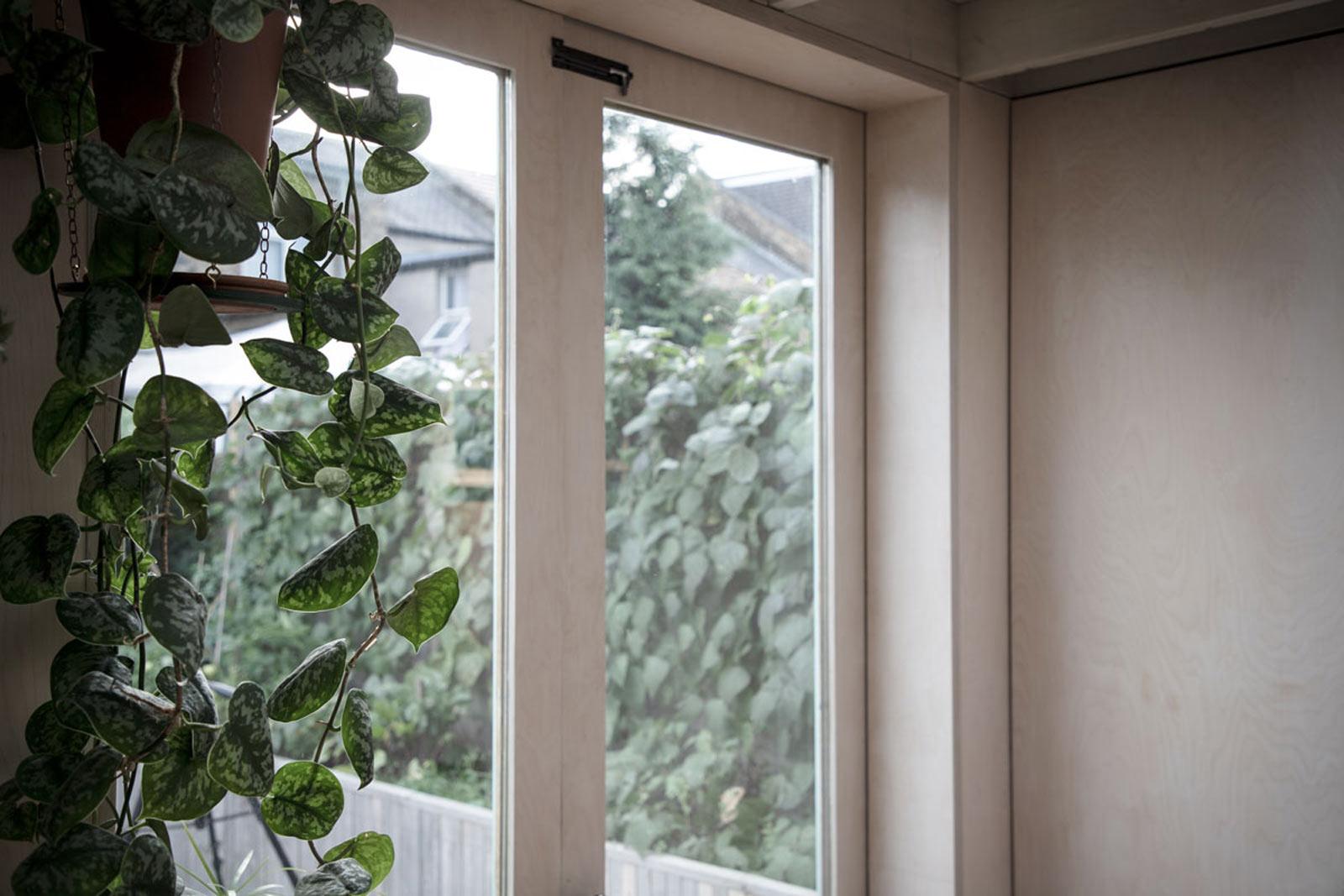 House extension living room view with plants