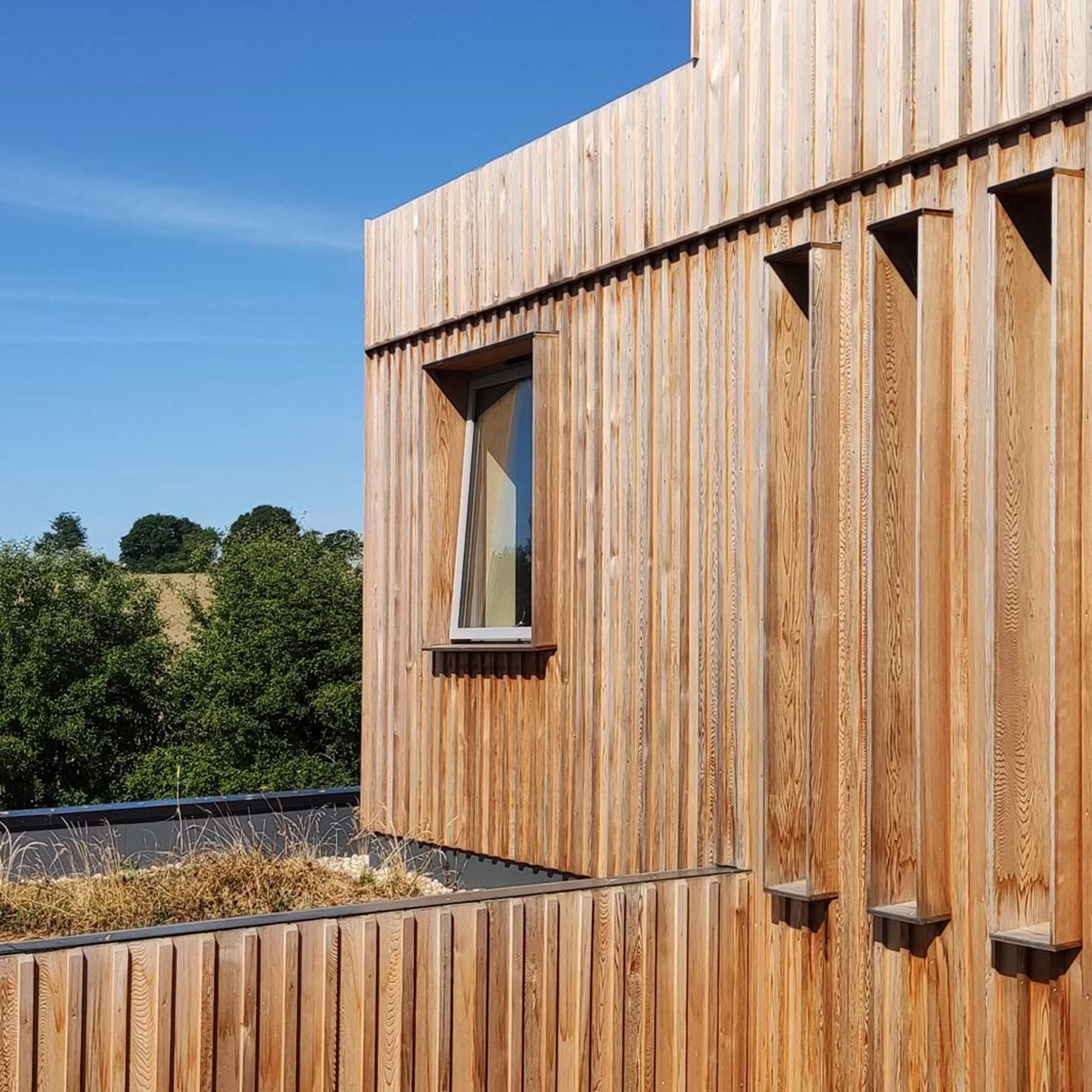 Explore Studio Bark - See project