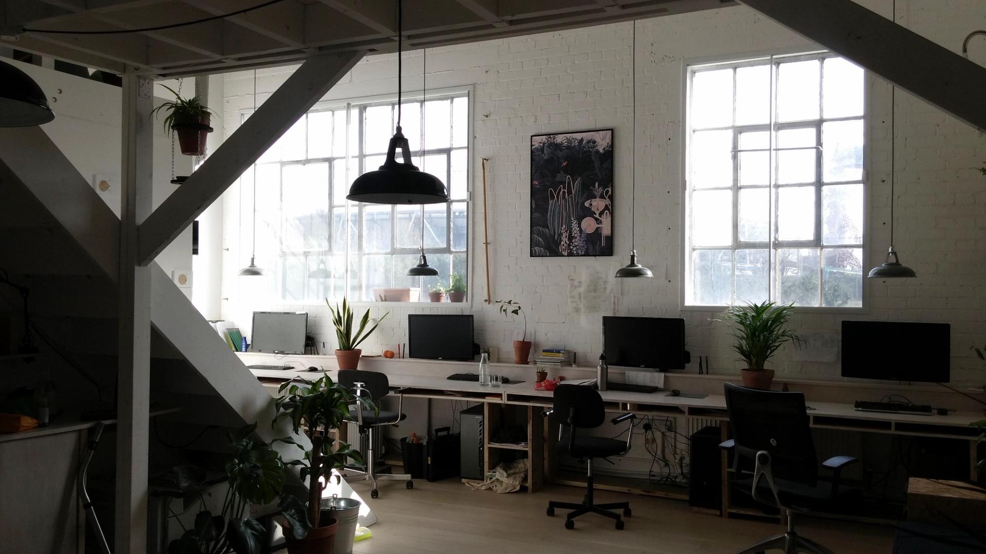 Explore Studio Bark - Studio