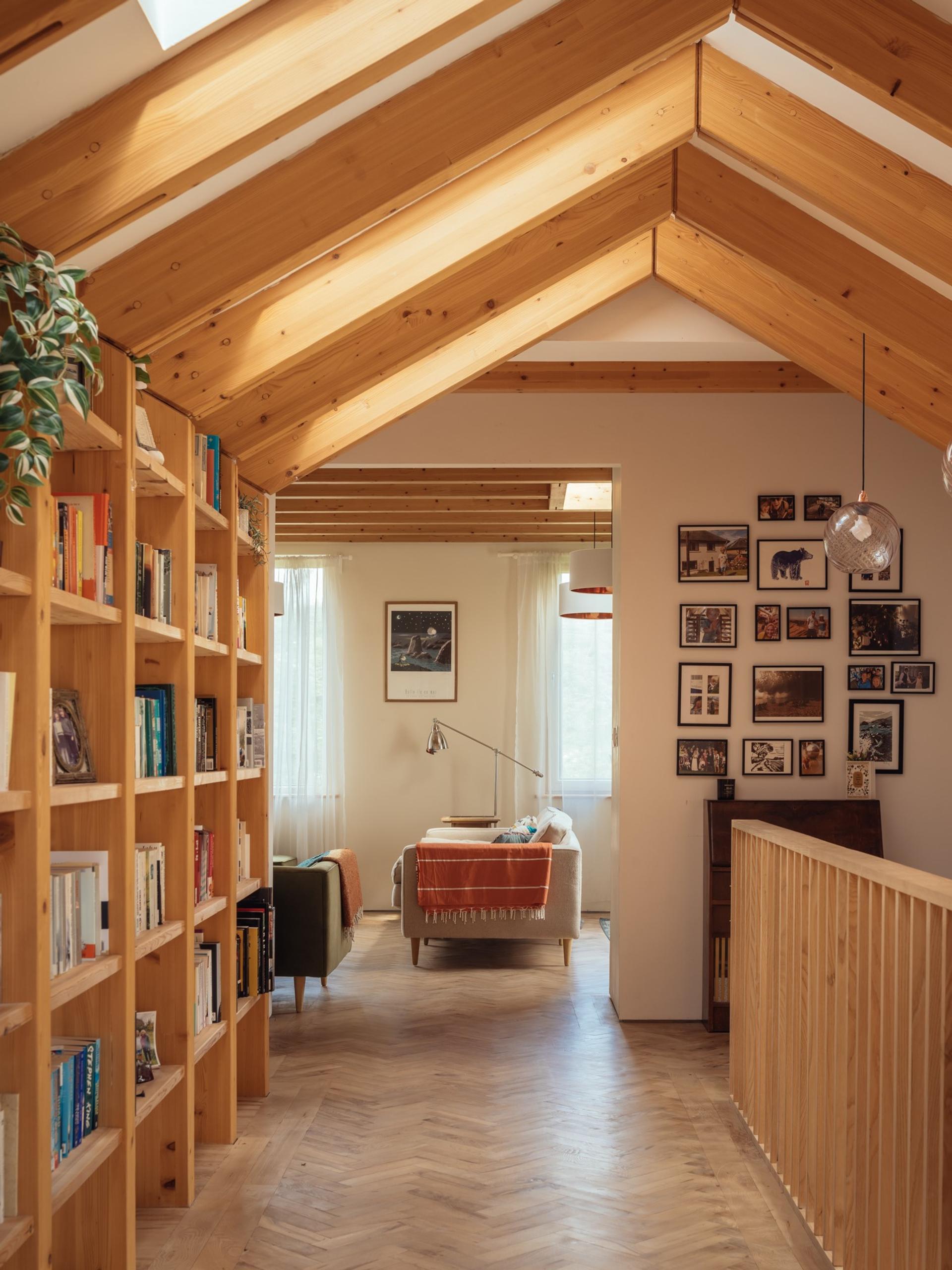 Explore Studio Bark - Read the piece