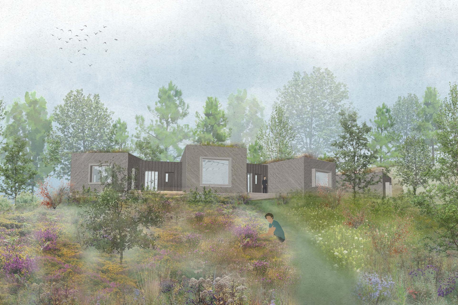 An ultra-low energy single-storey home revitalises the neglected site of a disused quarry