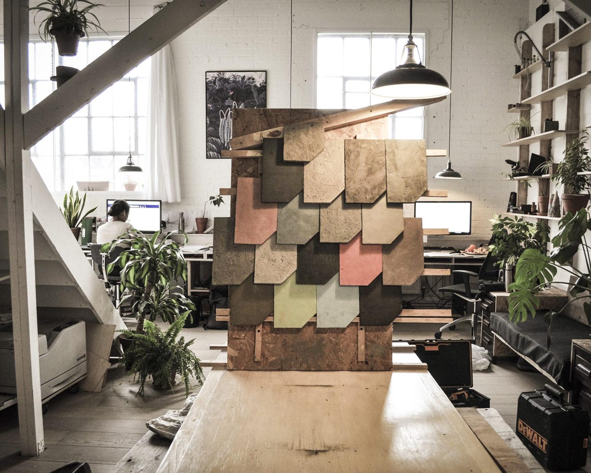 Explore Studio Bark - See project