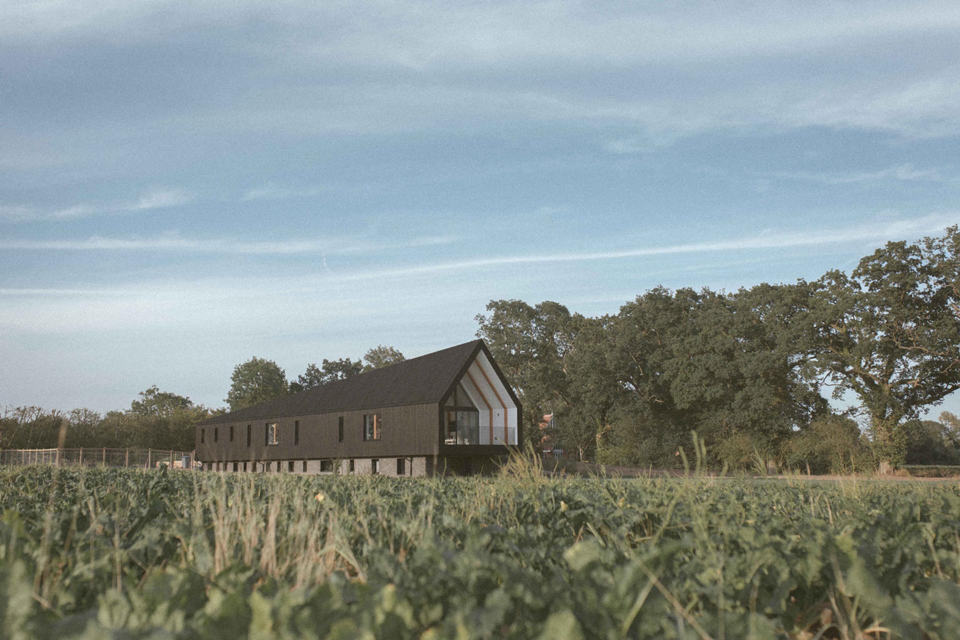 Explore Studio Bark - Learn More