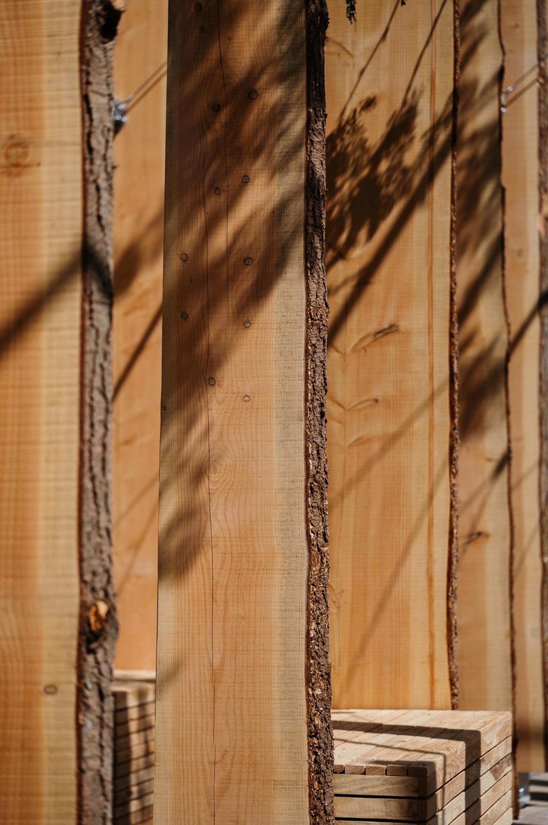 Timber artwork by Michael Pinsky and Studio Bark