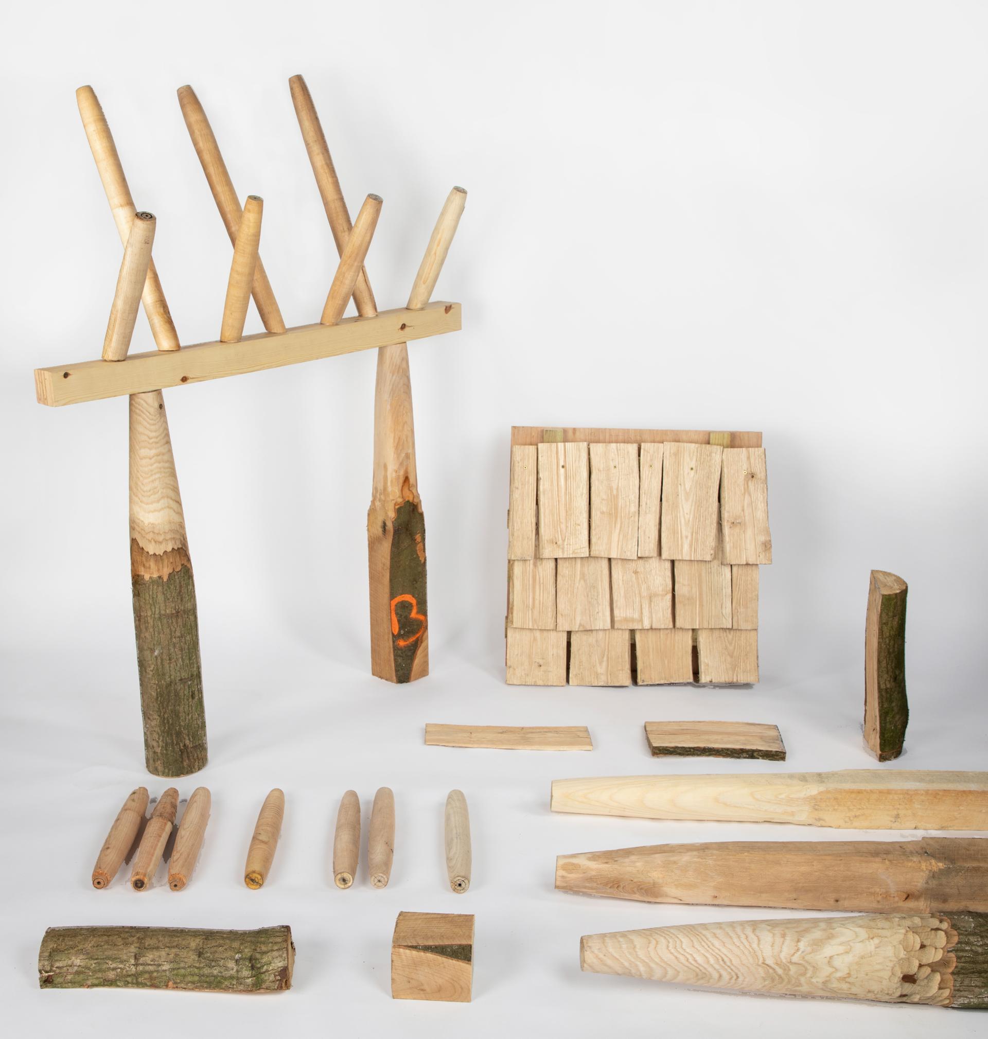 Explore Studio Bark - Learn more