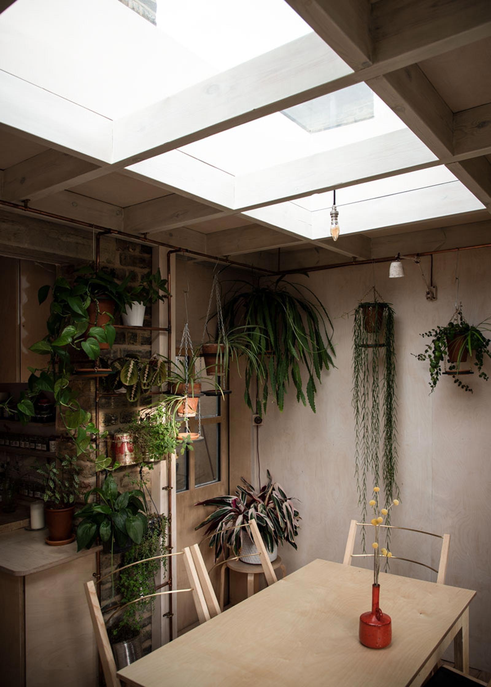 Kitchen interior with plants and minimal wooden dining area