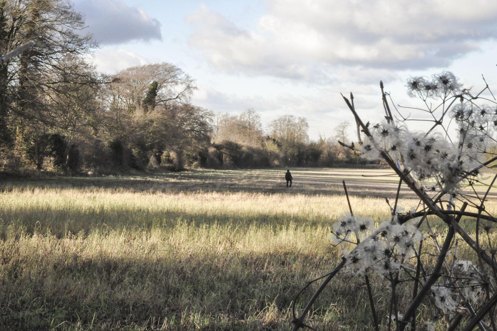 Site photograph of clearing and long grass