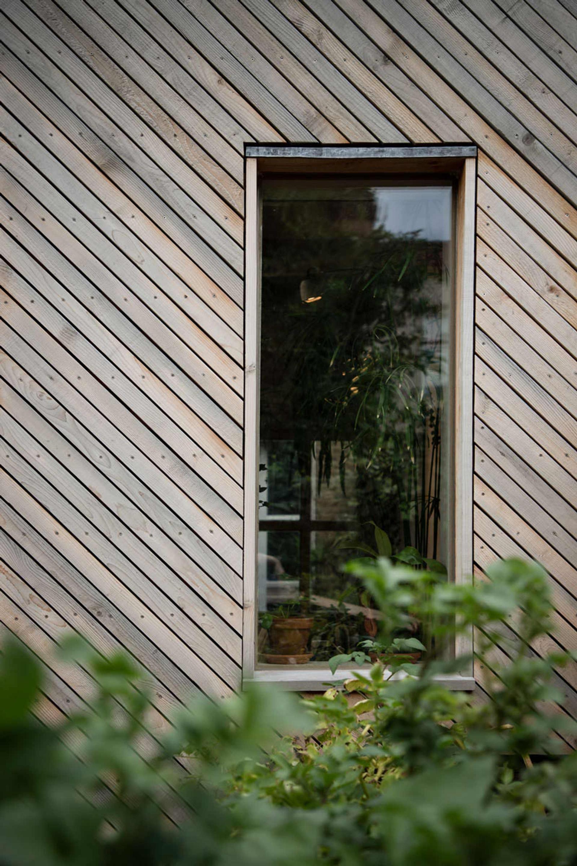 Explore Studio Bark - View project