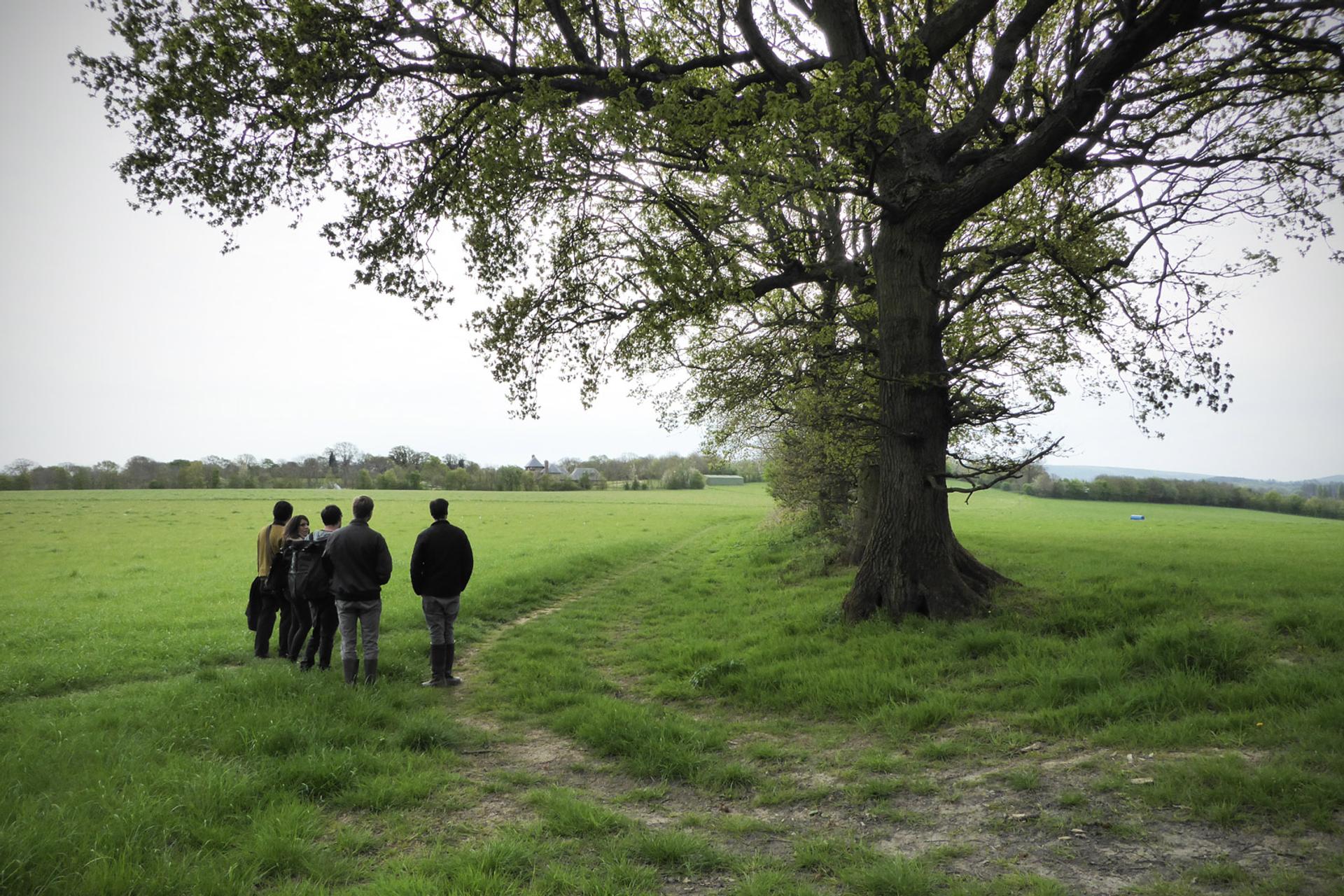 Studio Bark members attending a site visit