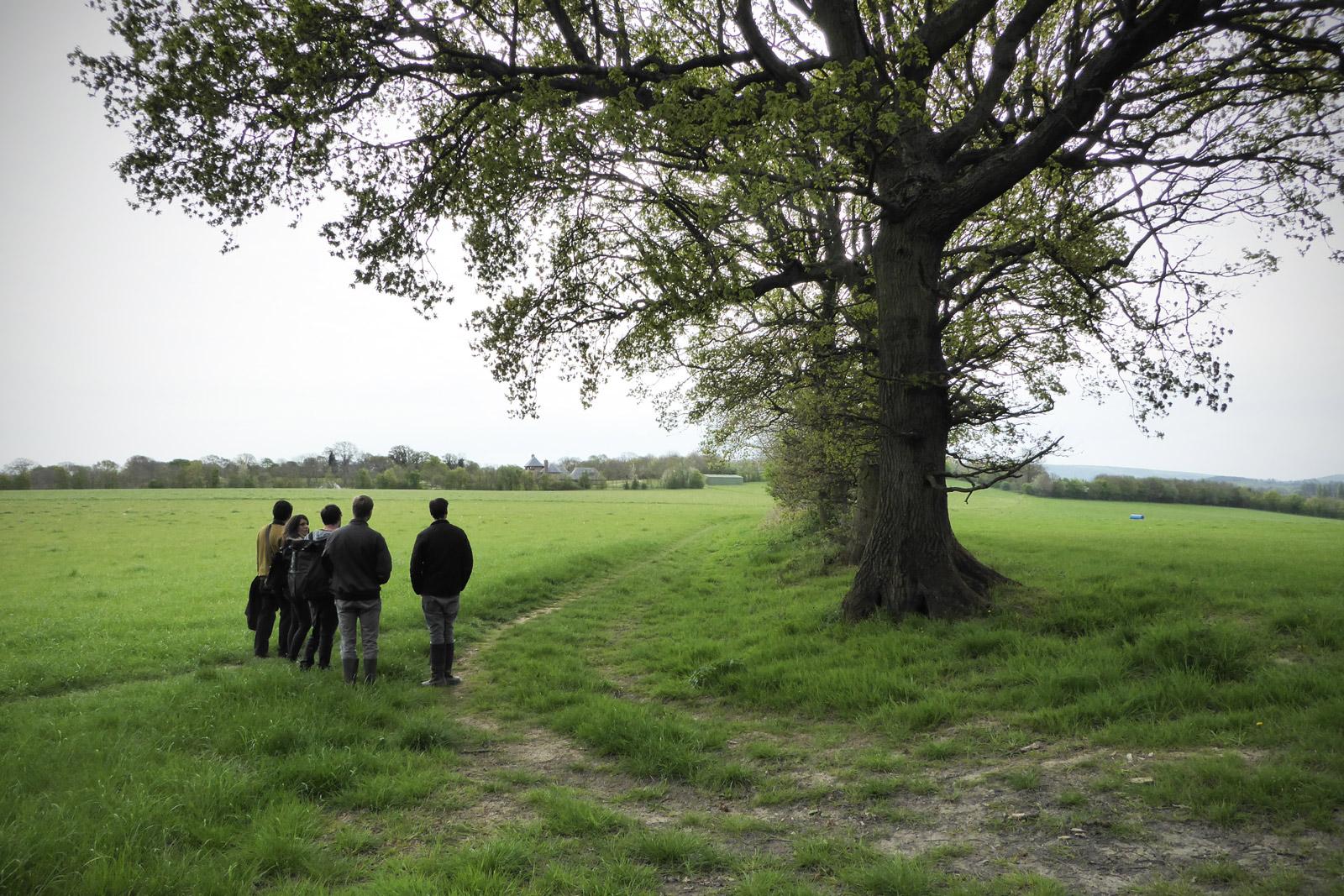 Studio Bark members attending a site visit