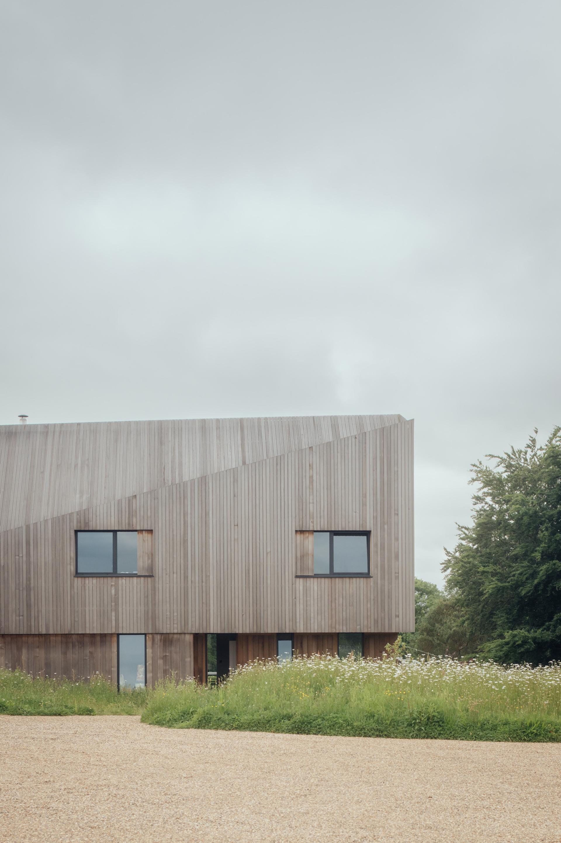 Explore Studio Bark - Read the piece
