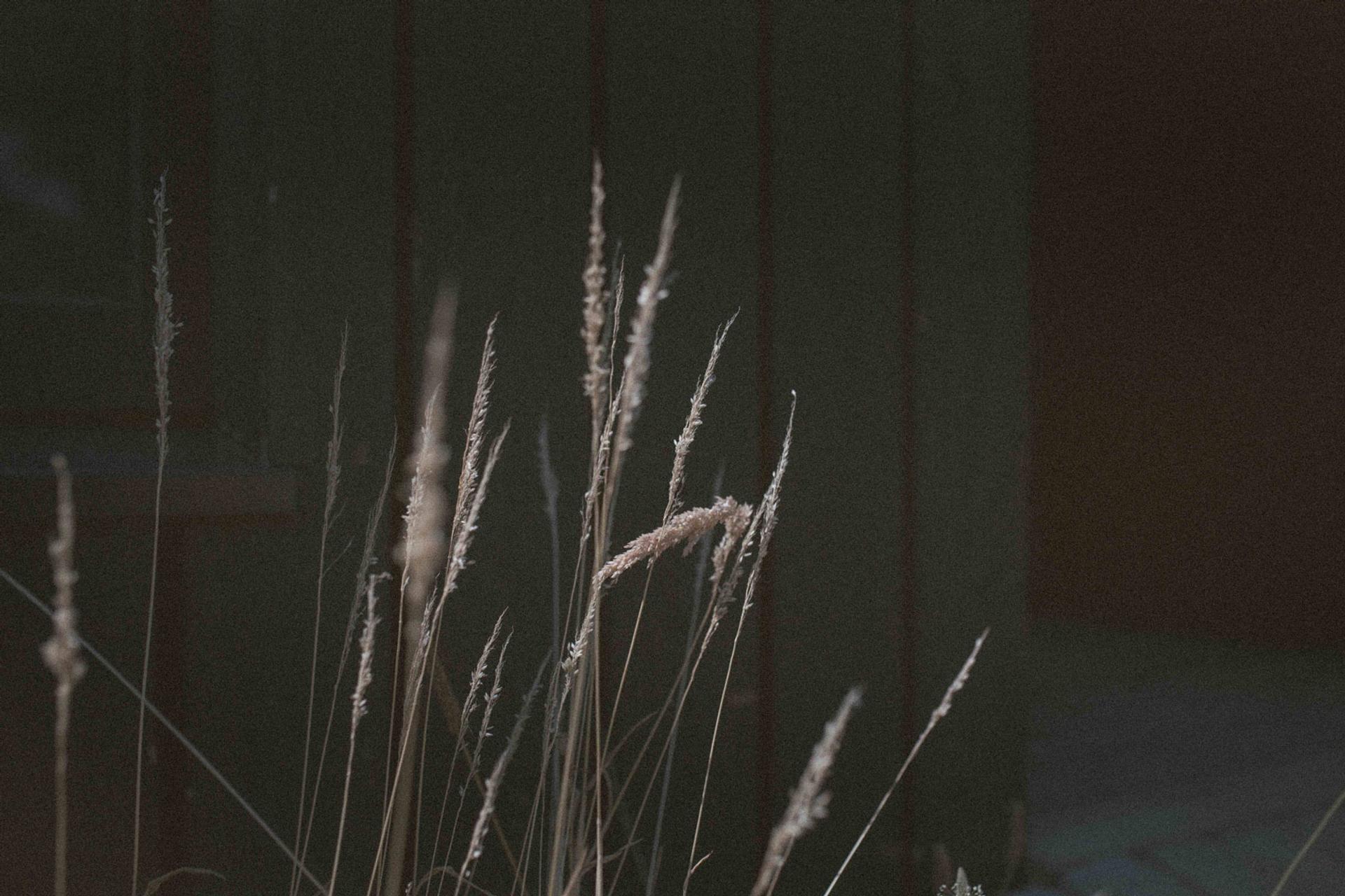 Detail of Black Barn by Studio Bark