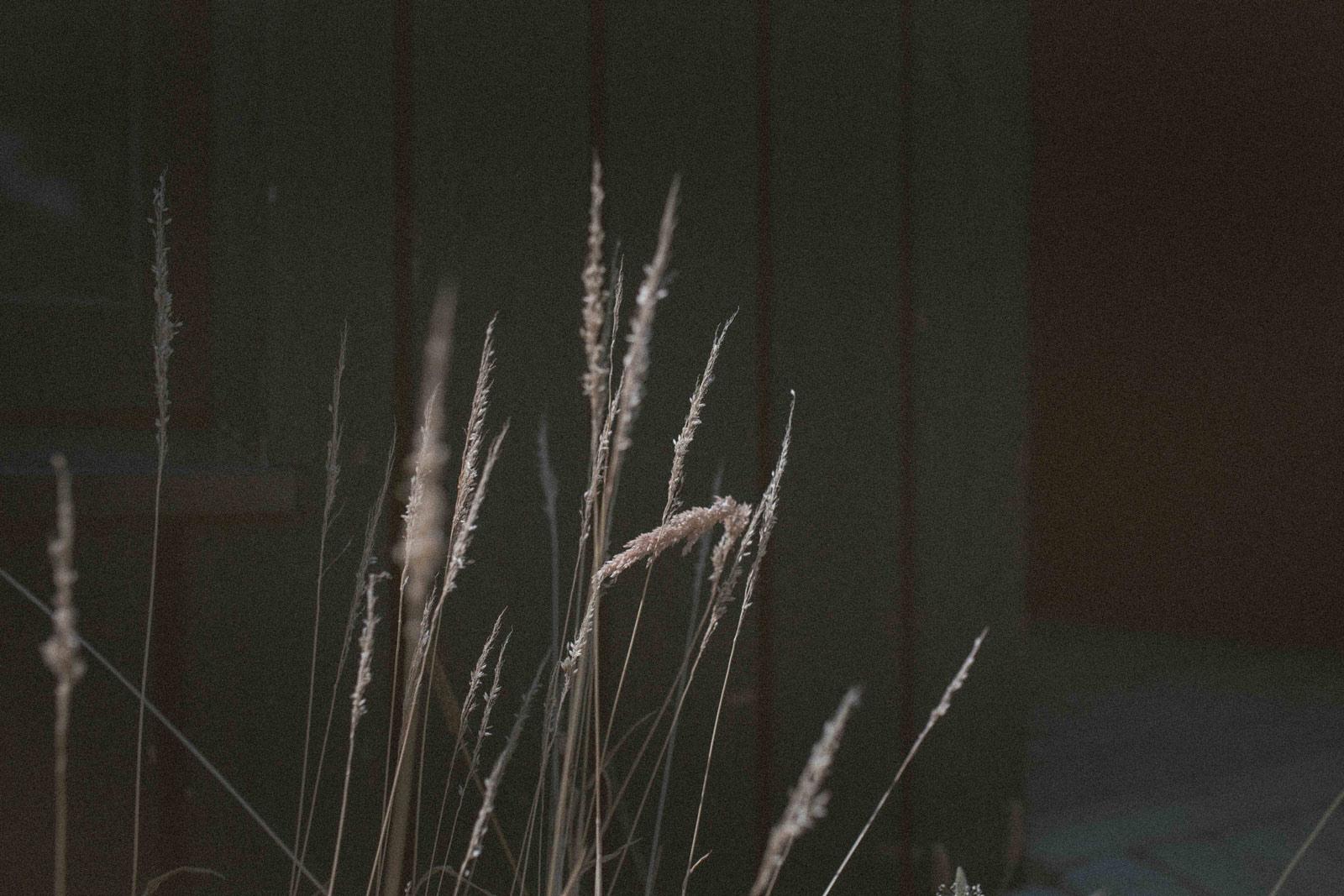 Detail of Black Barn by Studio Bark