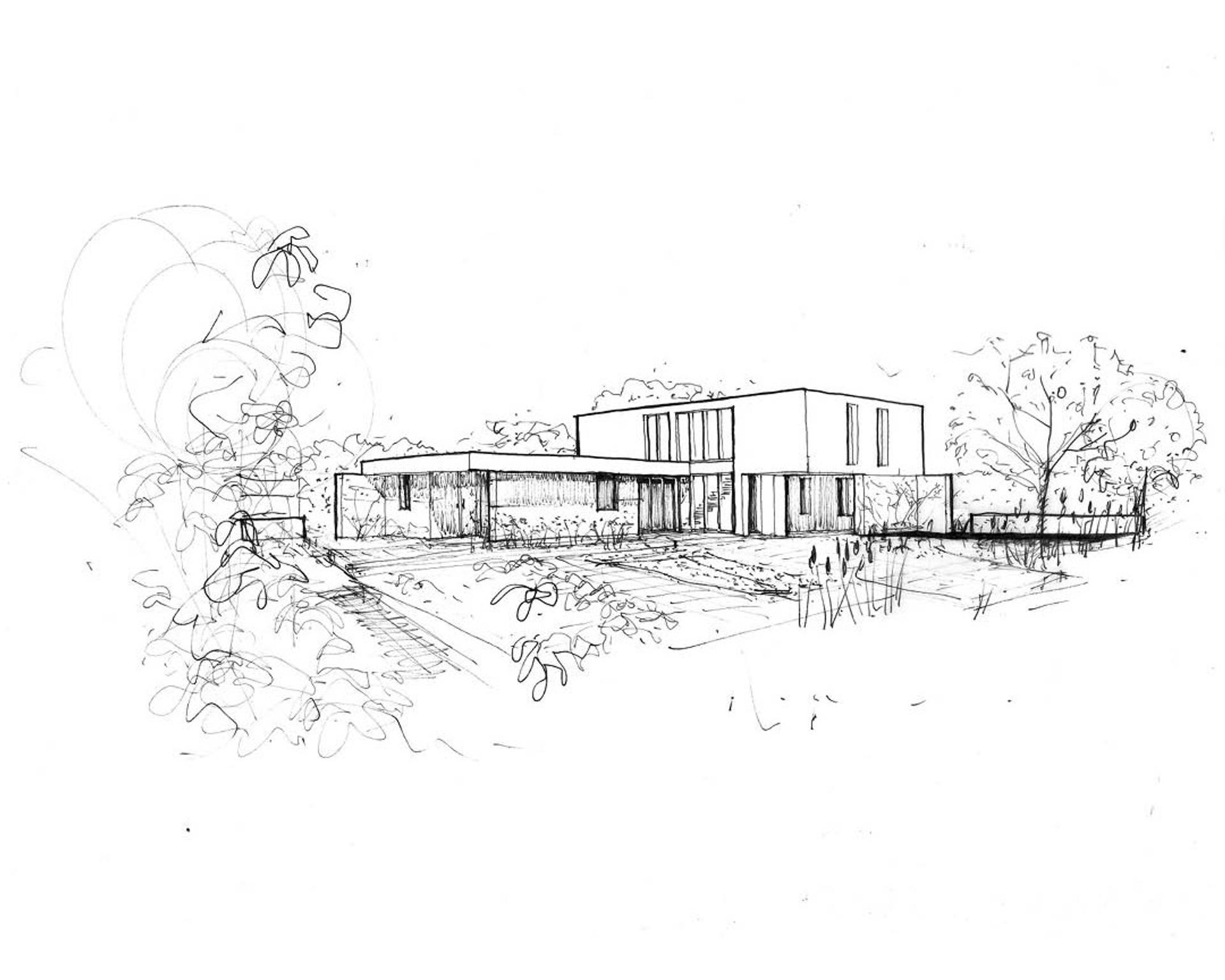 Explore Studio Bark - Learn More