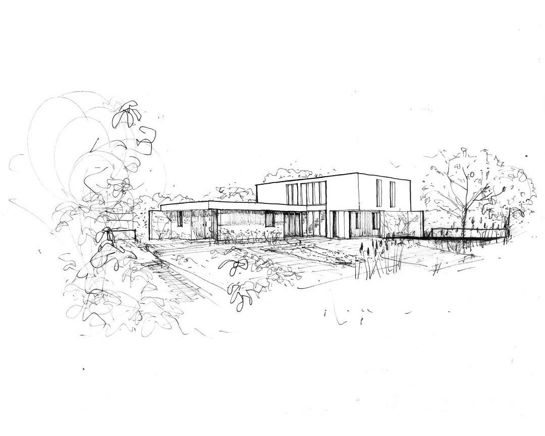 Explore Studio Bark - Learn More
