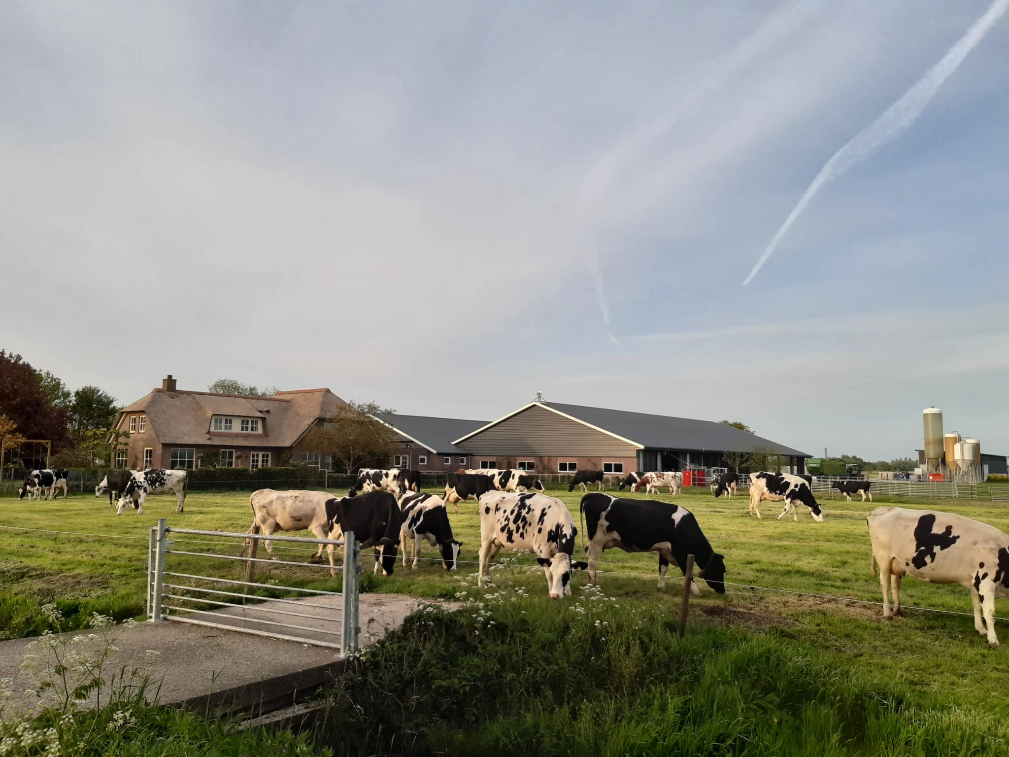 Demo Boerderij Nieuw Bijstervelt - Schipluiden