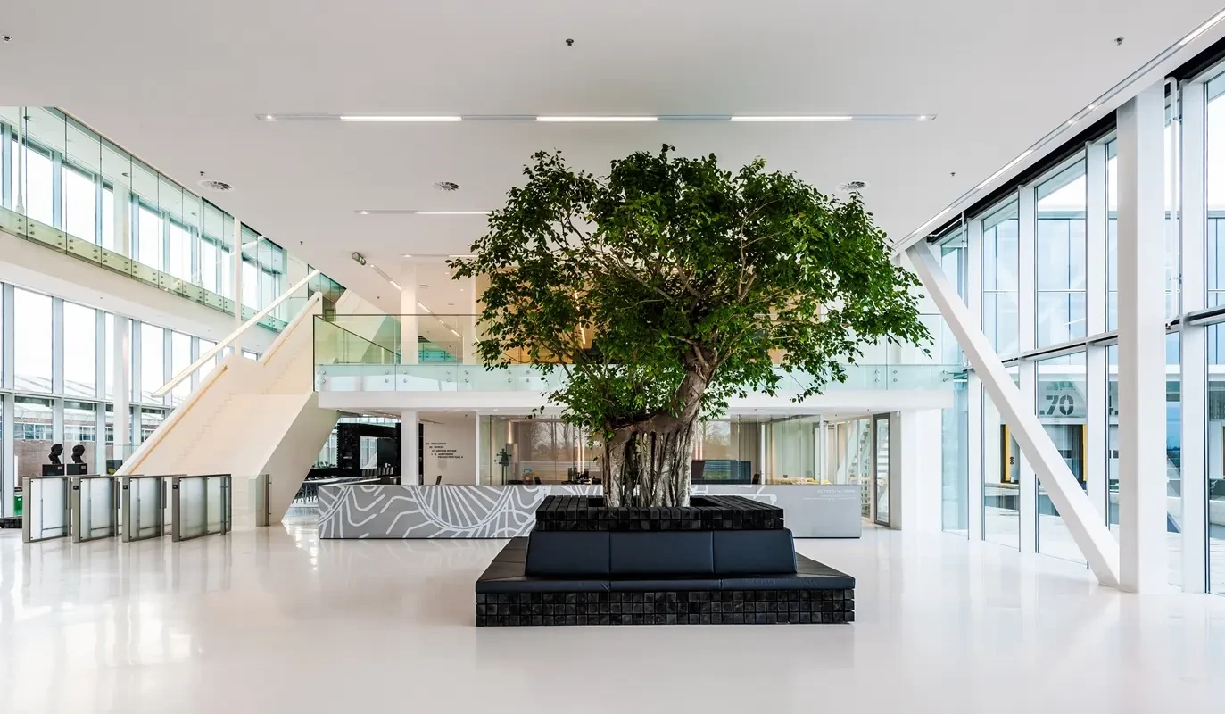 Groene plant