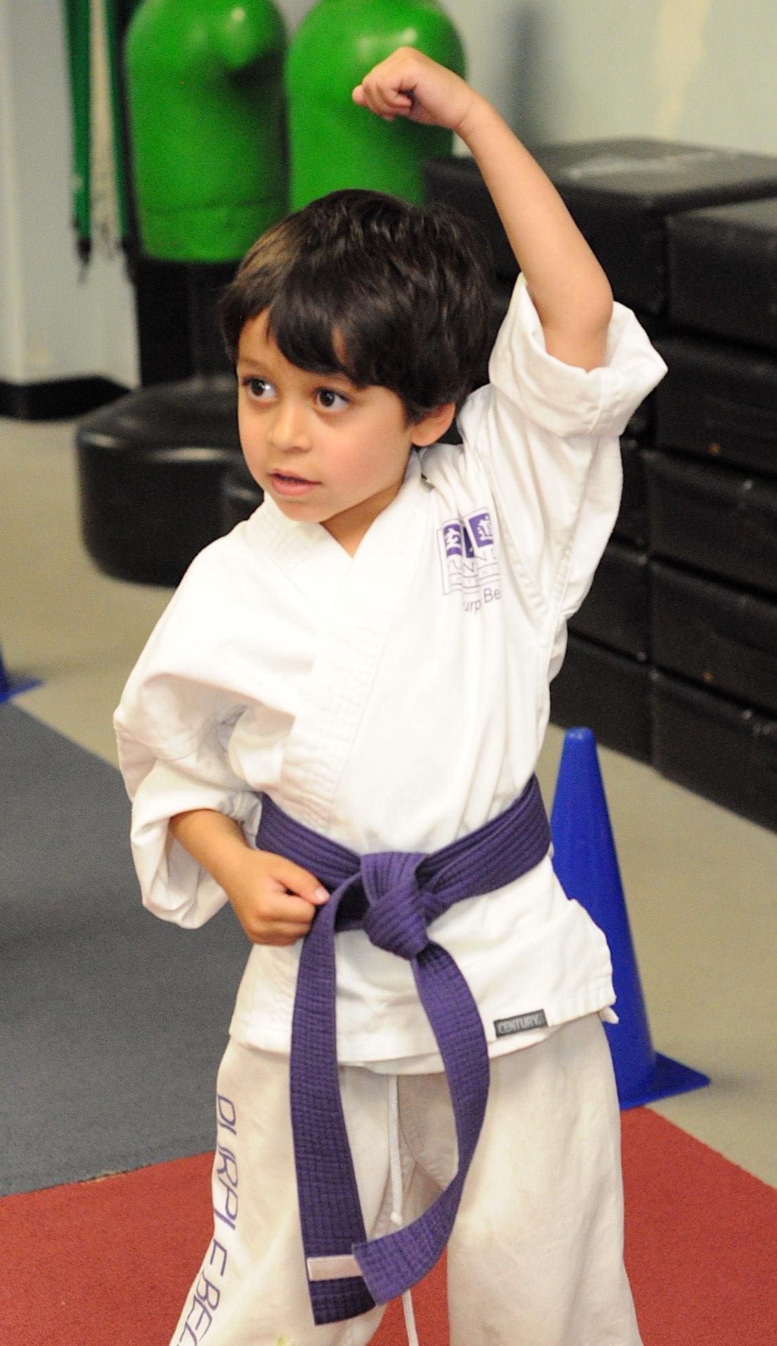 Purple Belt Block 3