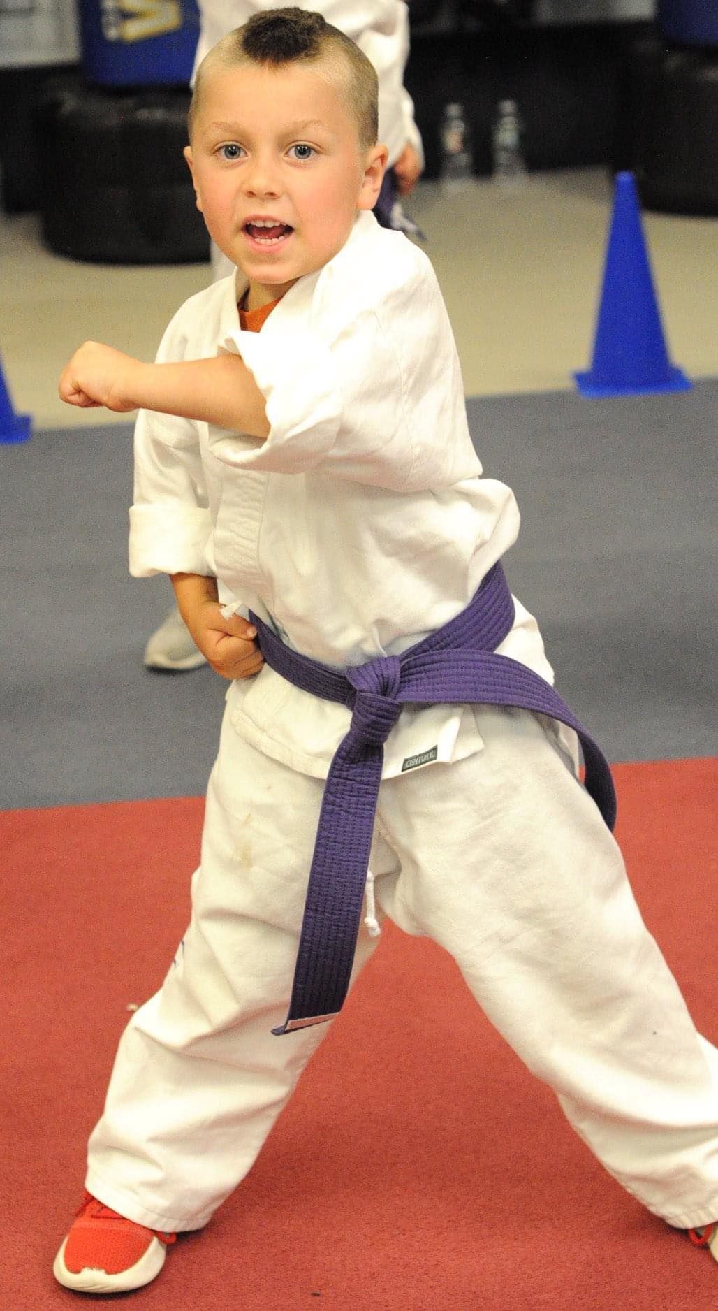 Purple Belt Punch