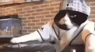 vous êtes prêts 
à danser ?