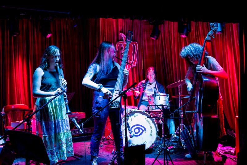 Band of jammers on stage. Clarinet, electric double bass, double bass, drummer