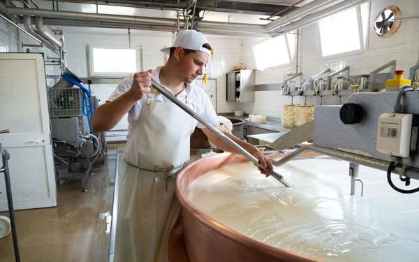 Latteria Sociale di Marsure