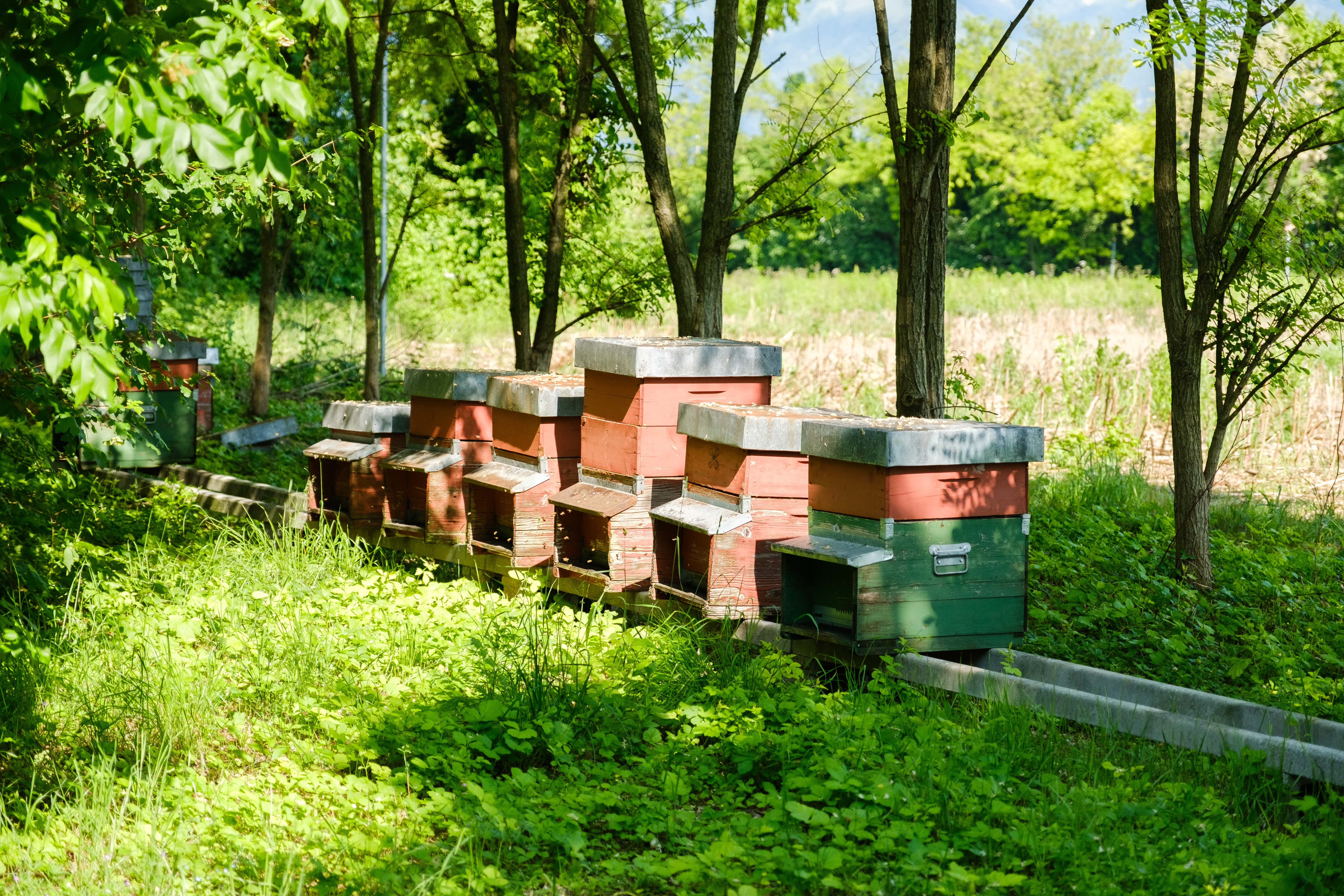 San Pellegrino Agricola Società Semplice Agricola