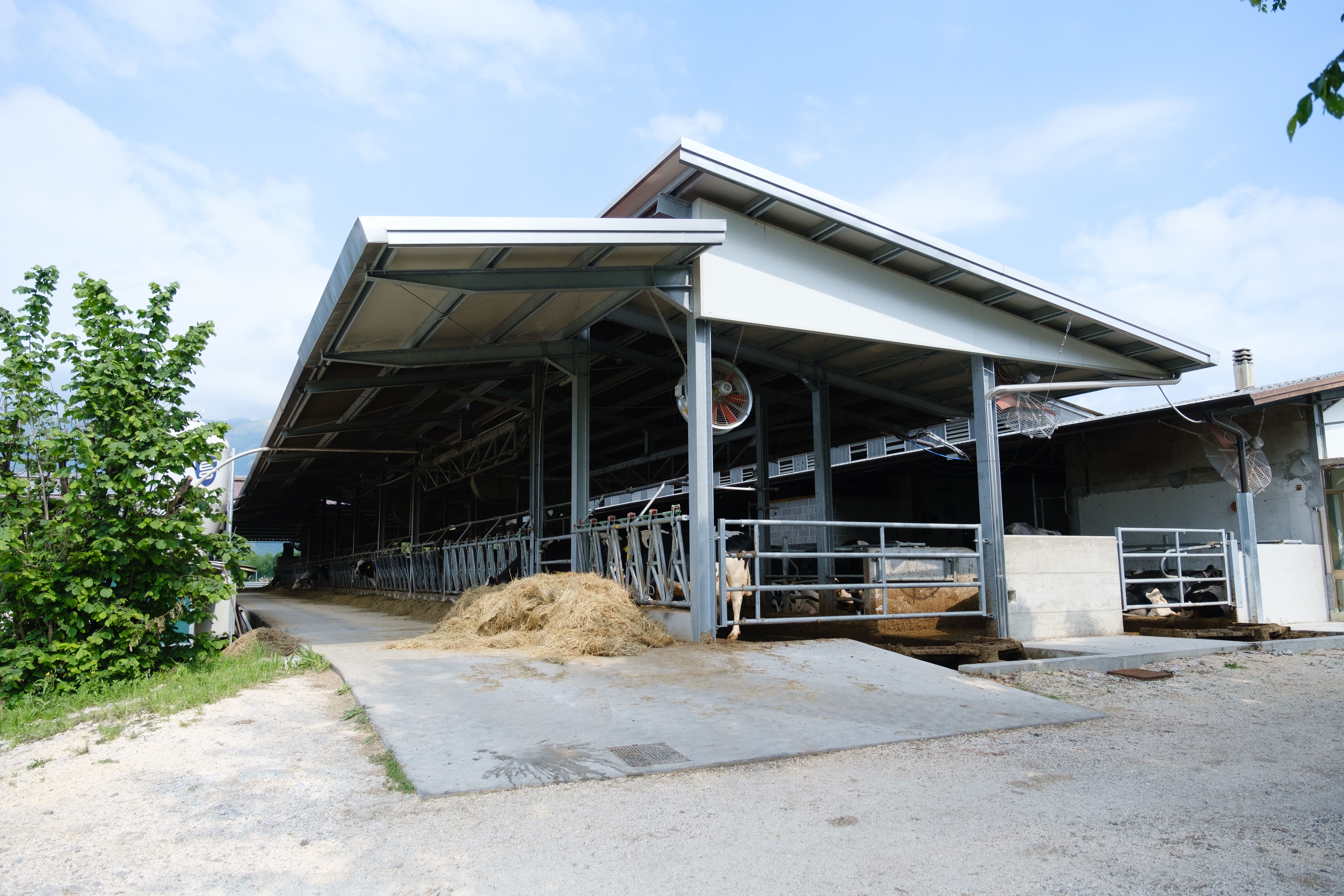 Azienda Agricola Riva de Bares