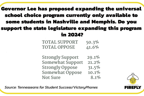 Governor Lee plans to bring his "voucher" plan back next year. Two polls show Tennessee remains divided.