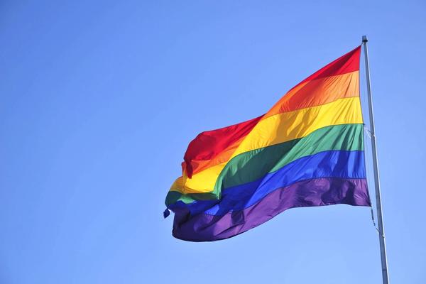 Controversial pride flag ban bill advances in the House
